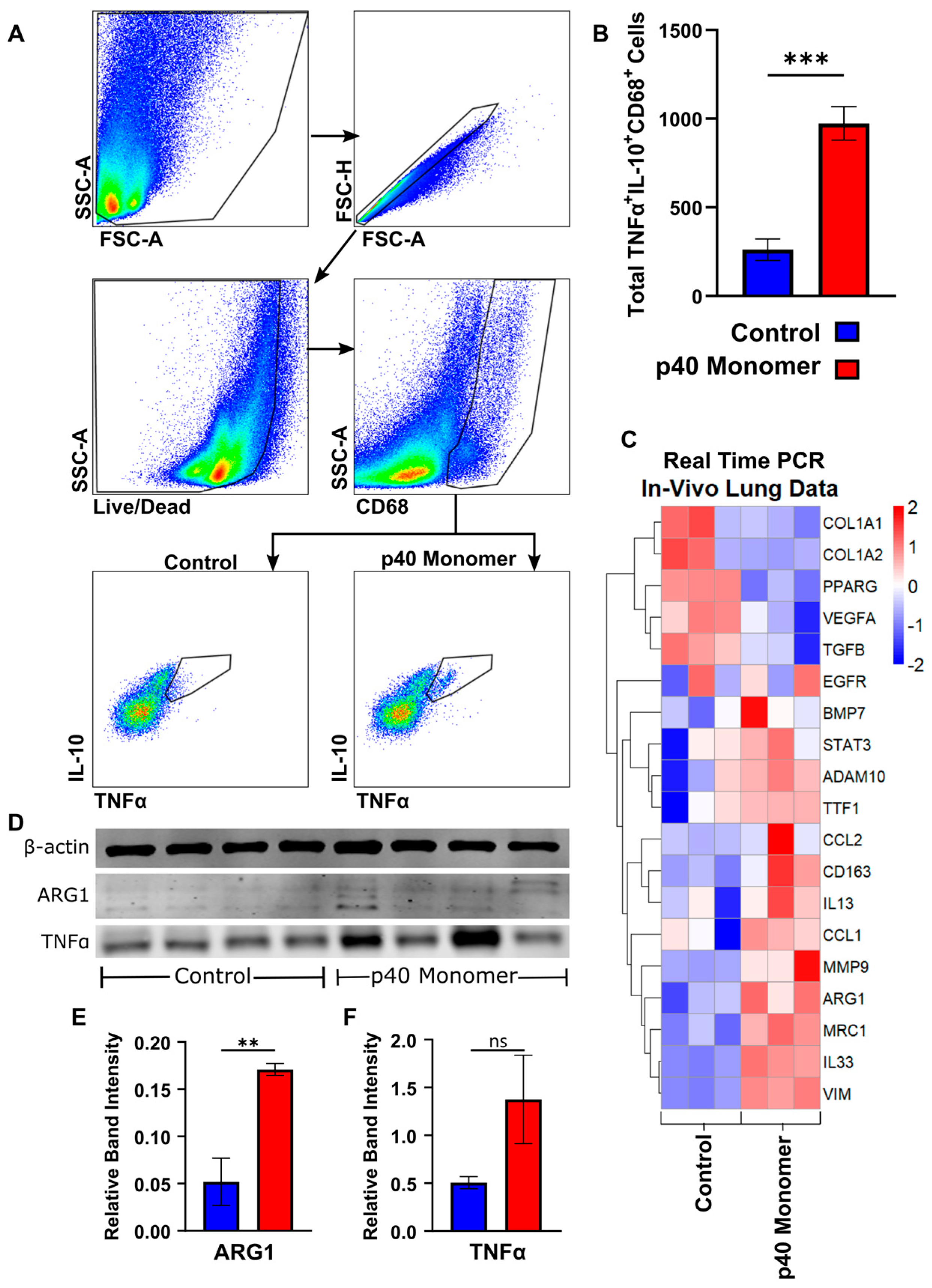 Immuno 04 00005 g005
