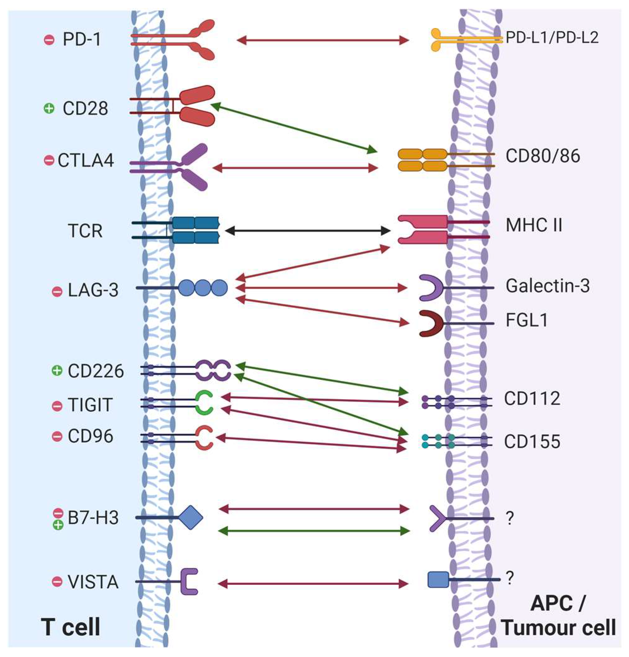 Immuno 04 00013 g001