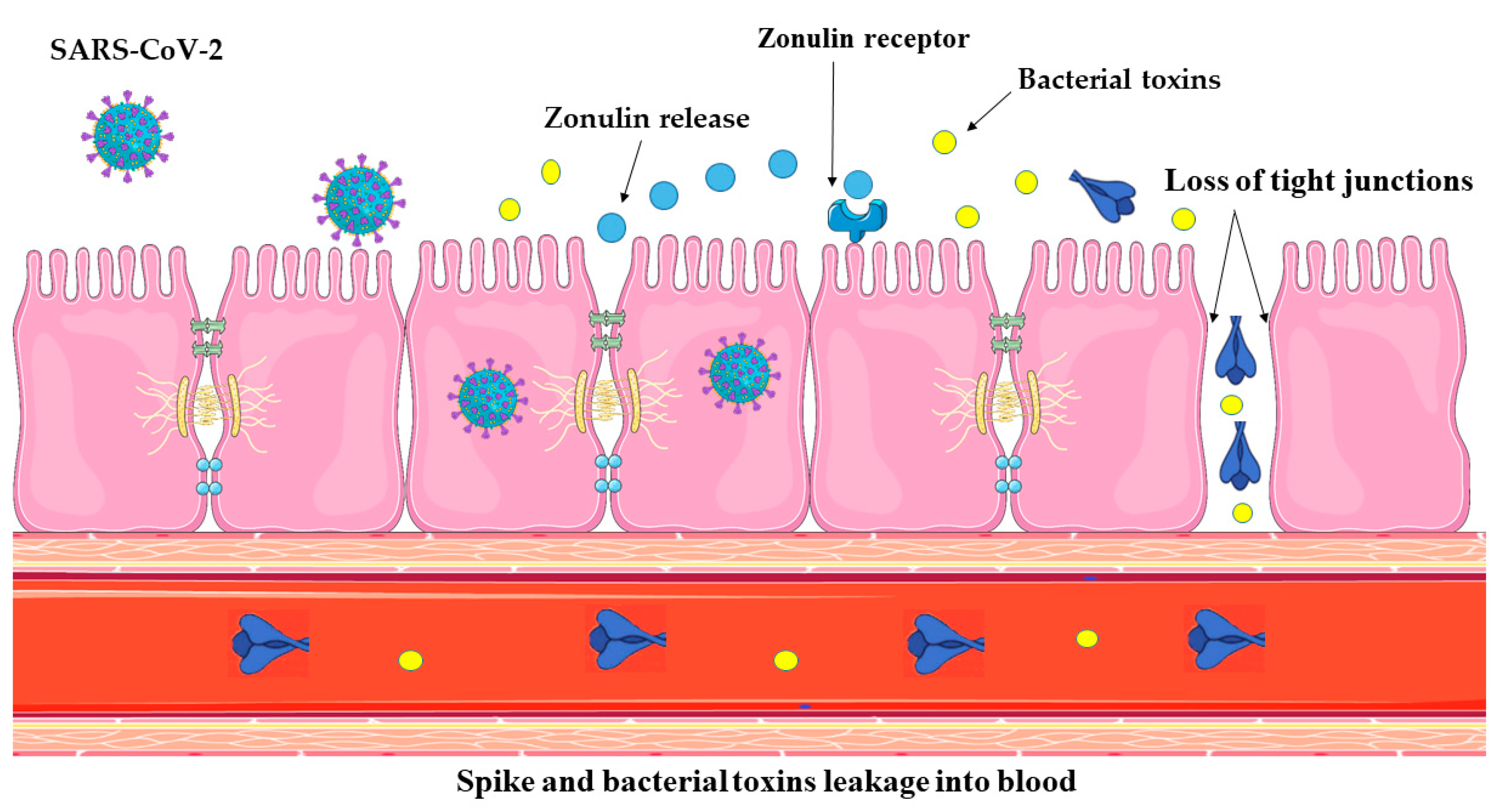 Immuno 04 00015 g001 Immuno 04 00015 g001