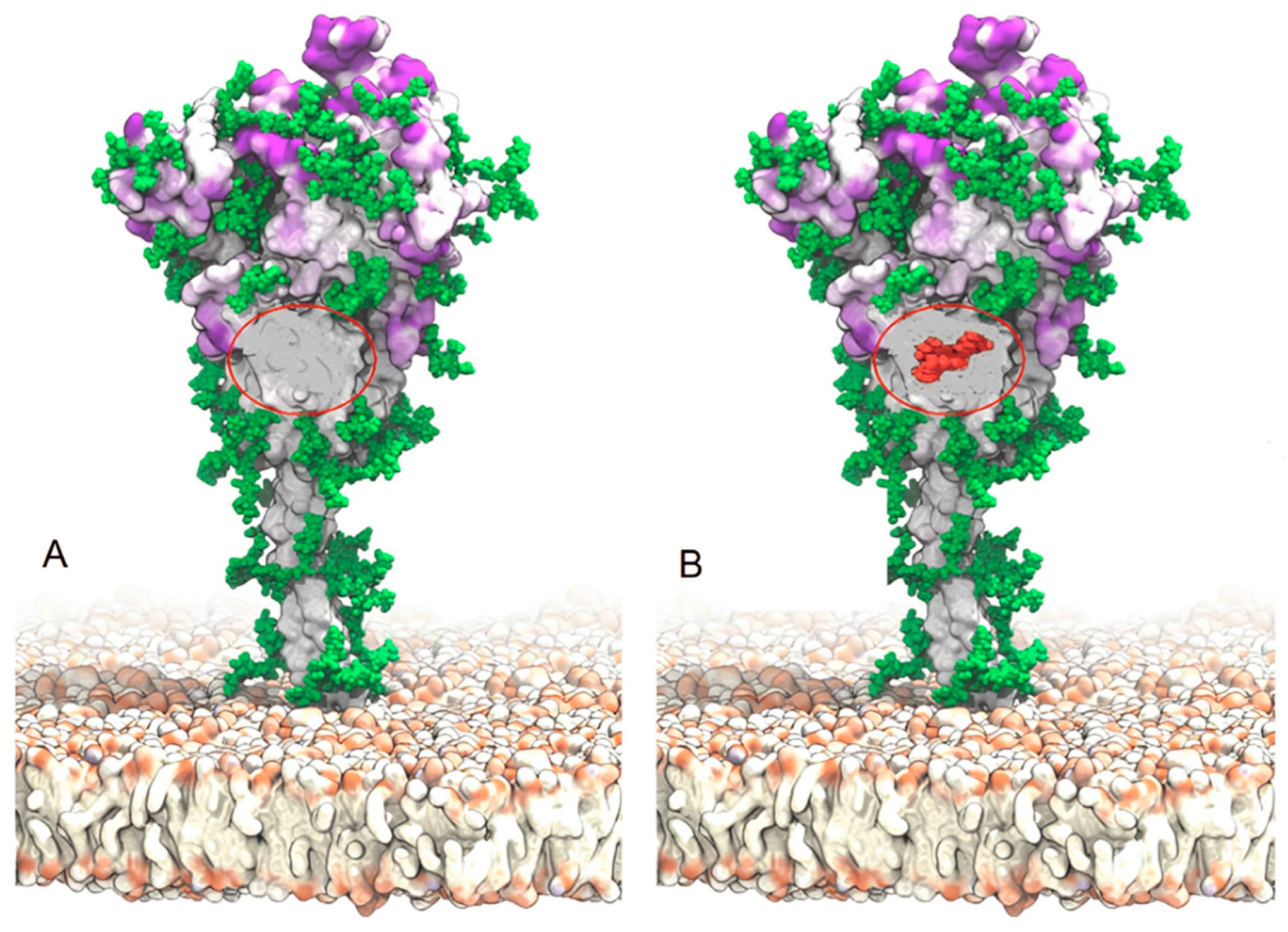 Immuno 04 00015 g003 Immuno 04 00015 g003