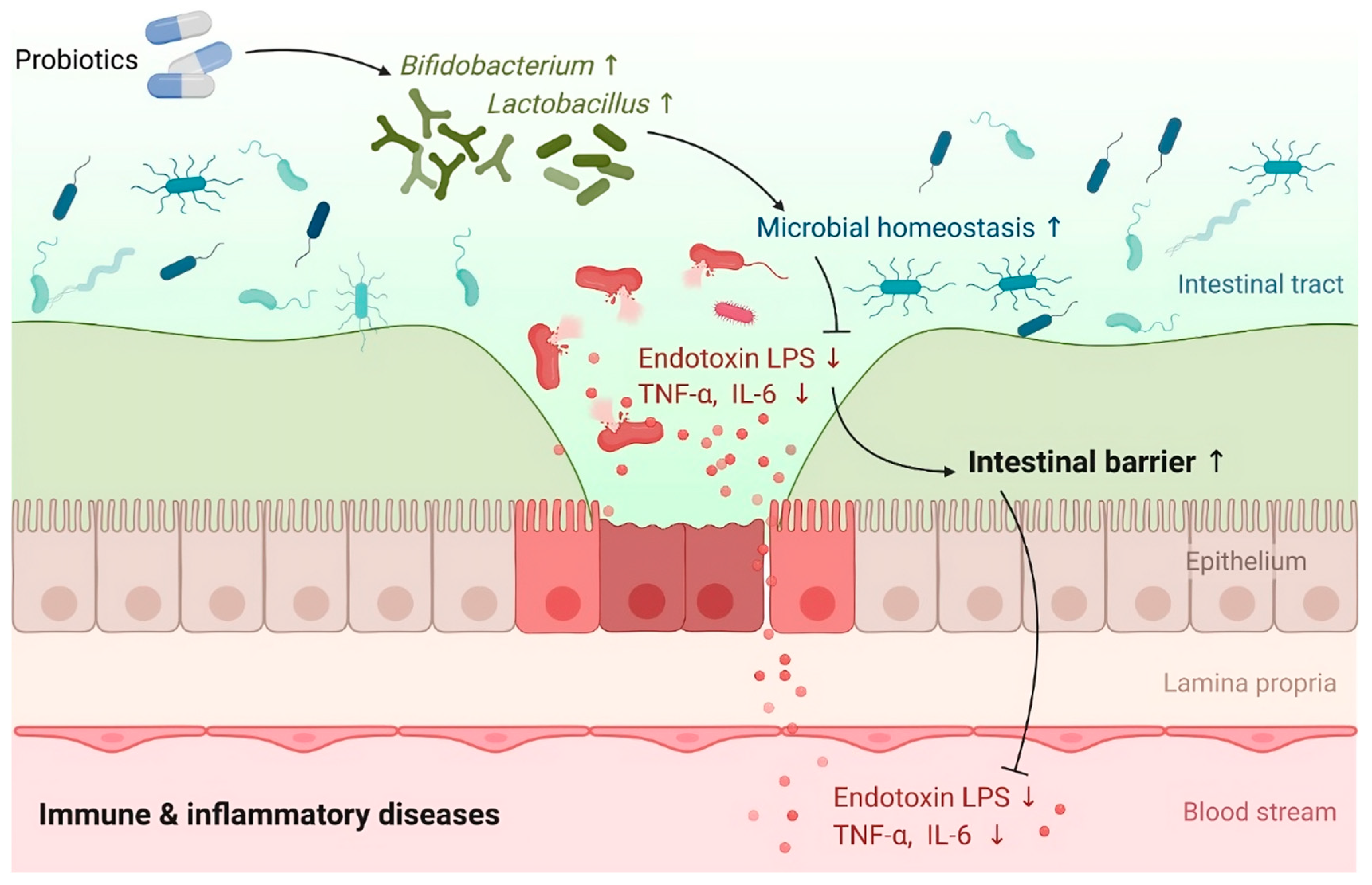 Immuno 04 00015 g004 Immuno 04 00015 g004