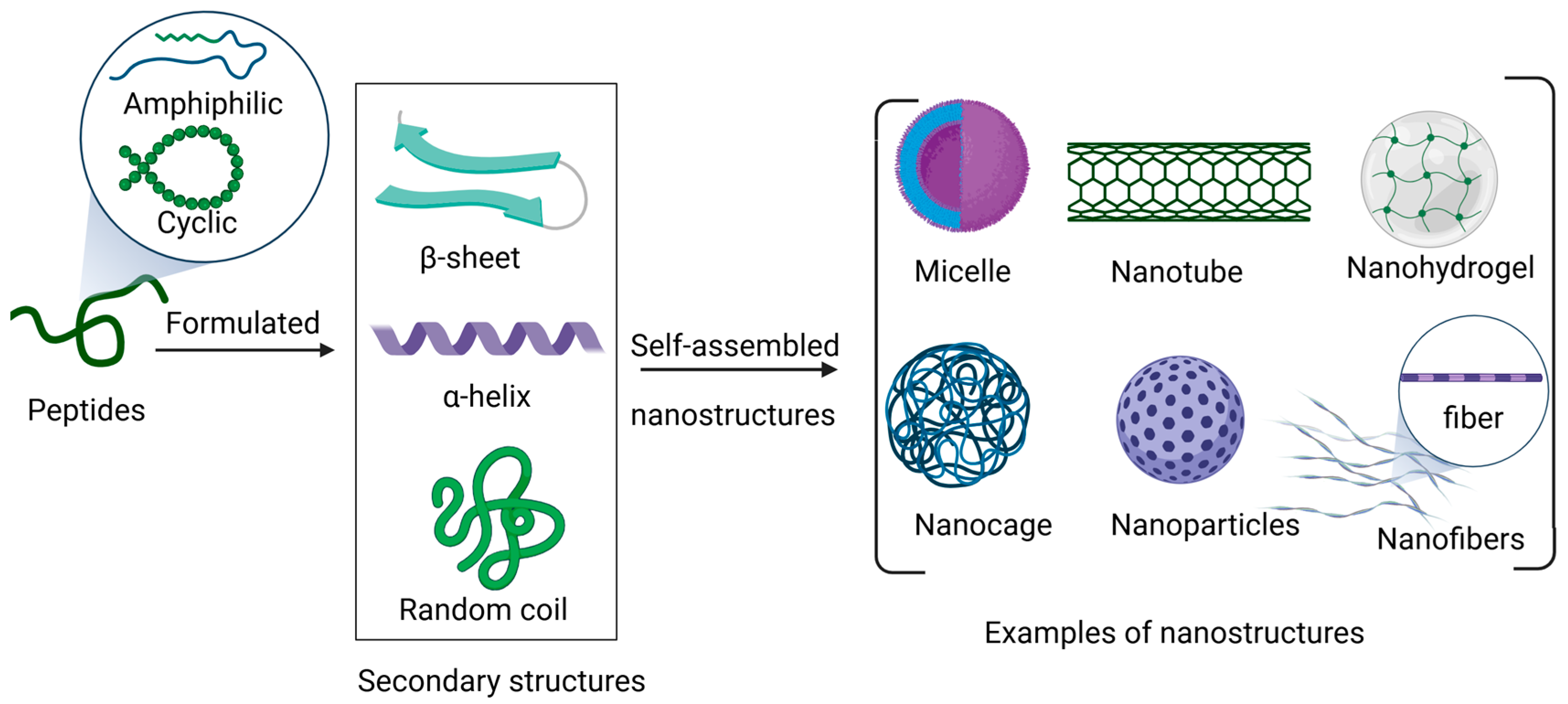 Immuno 04 00021 g001