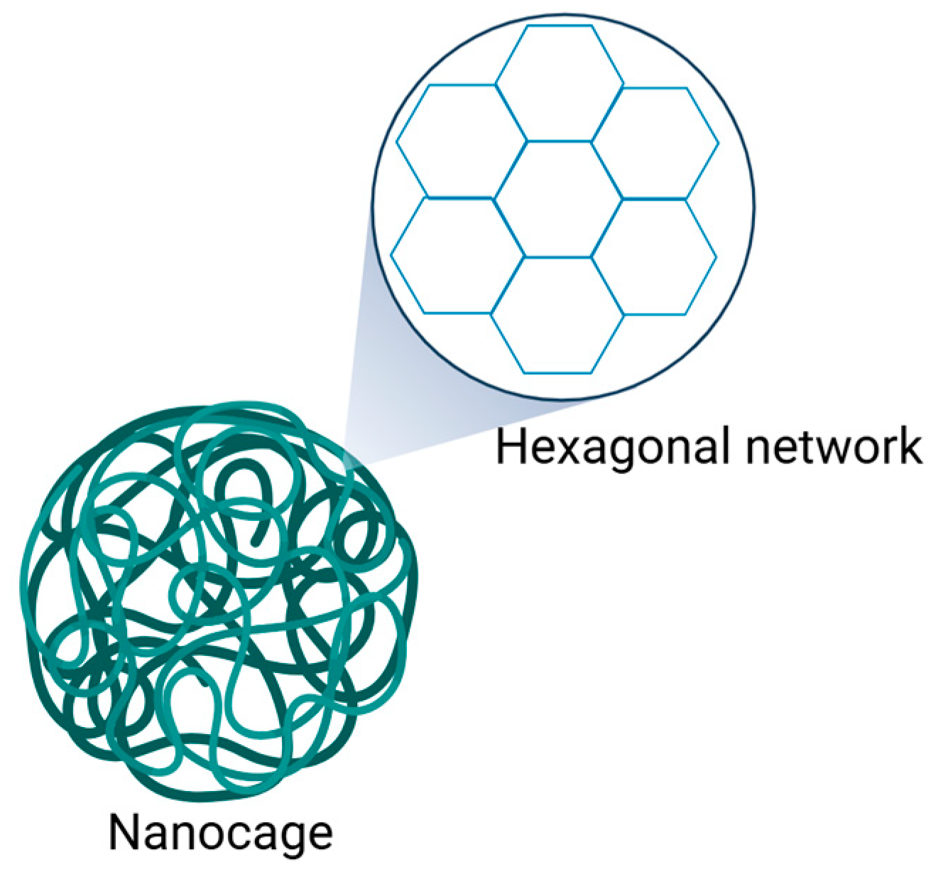 Immuno 04 00021 g003