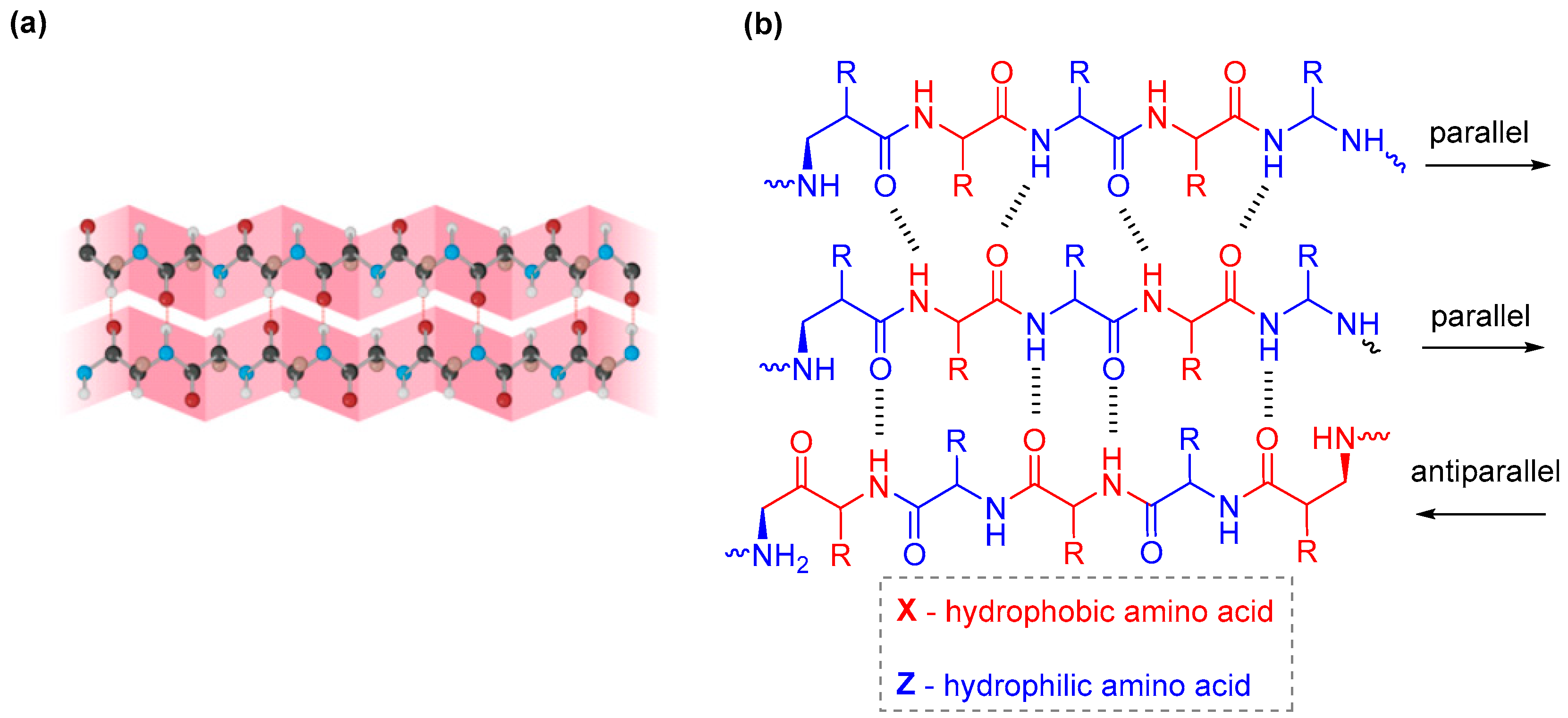 Immuno 04 00021 g004