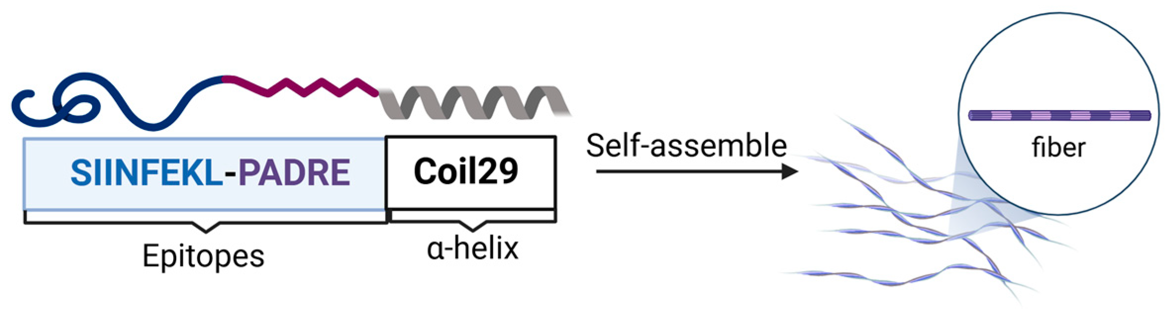 Immuno 04 00021 g007