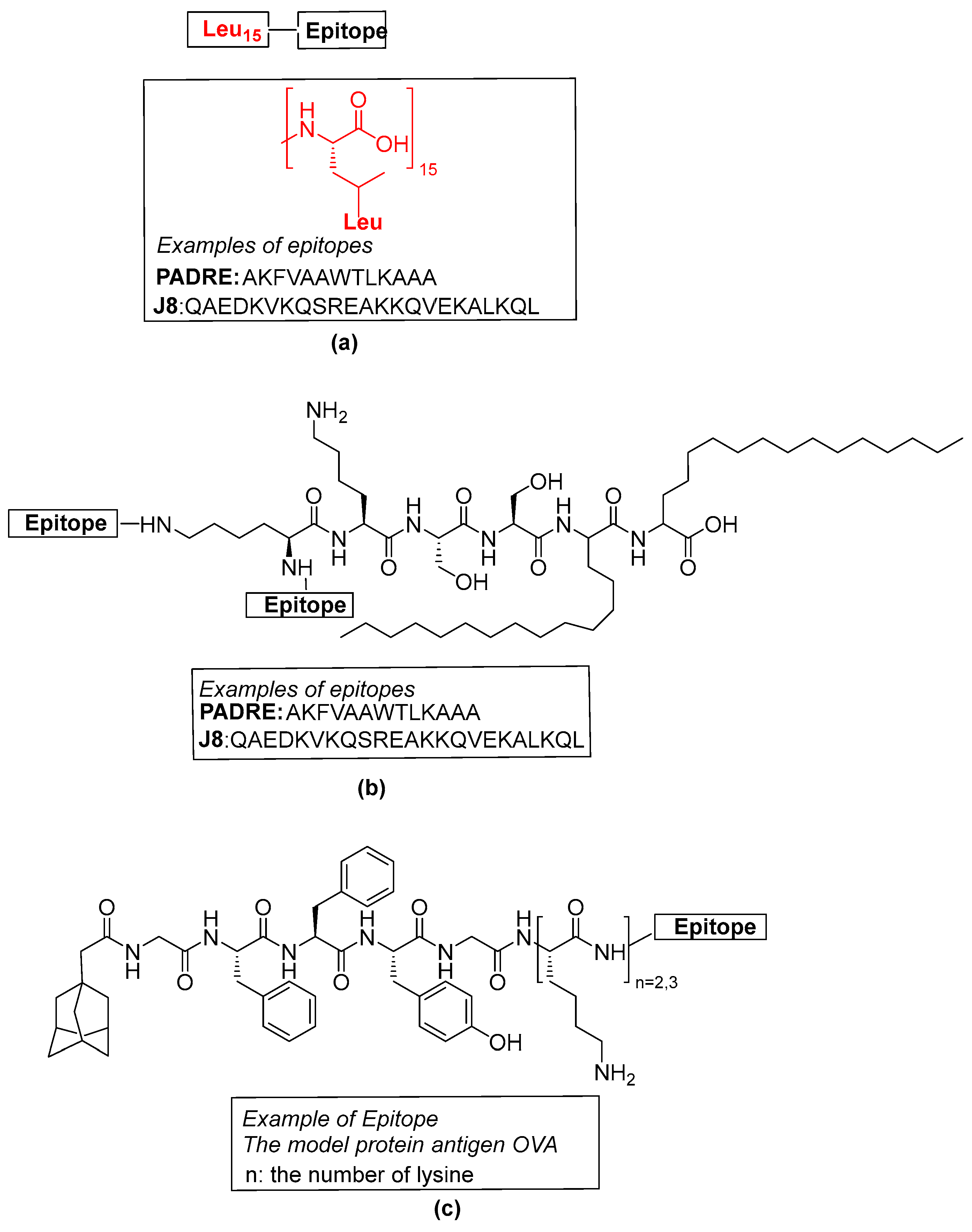 Immuno 04 00021 g009
