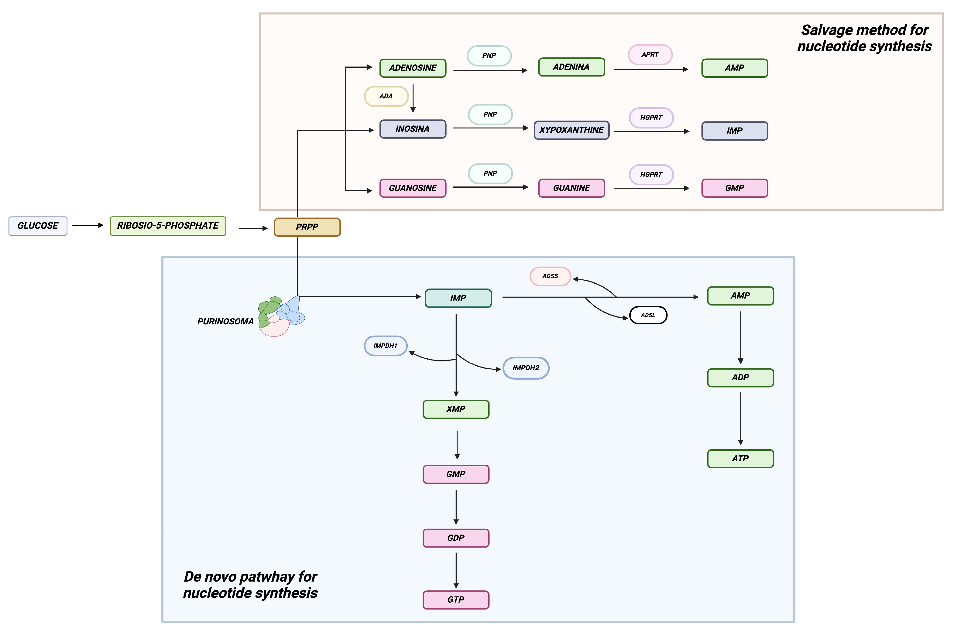 Immuno 04 00032 g001