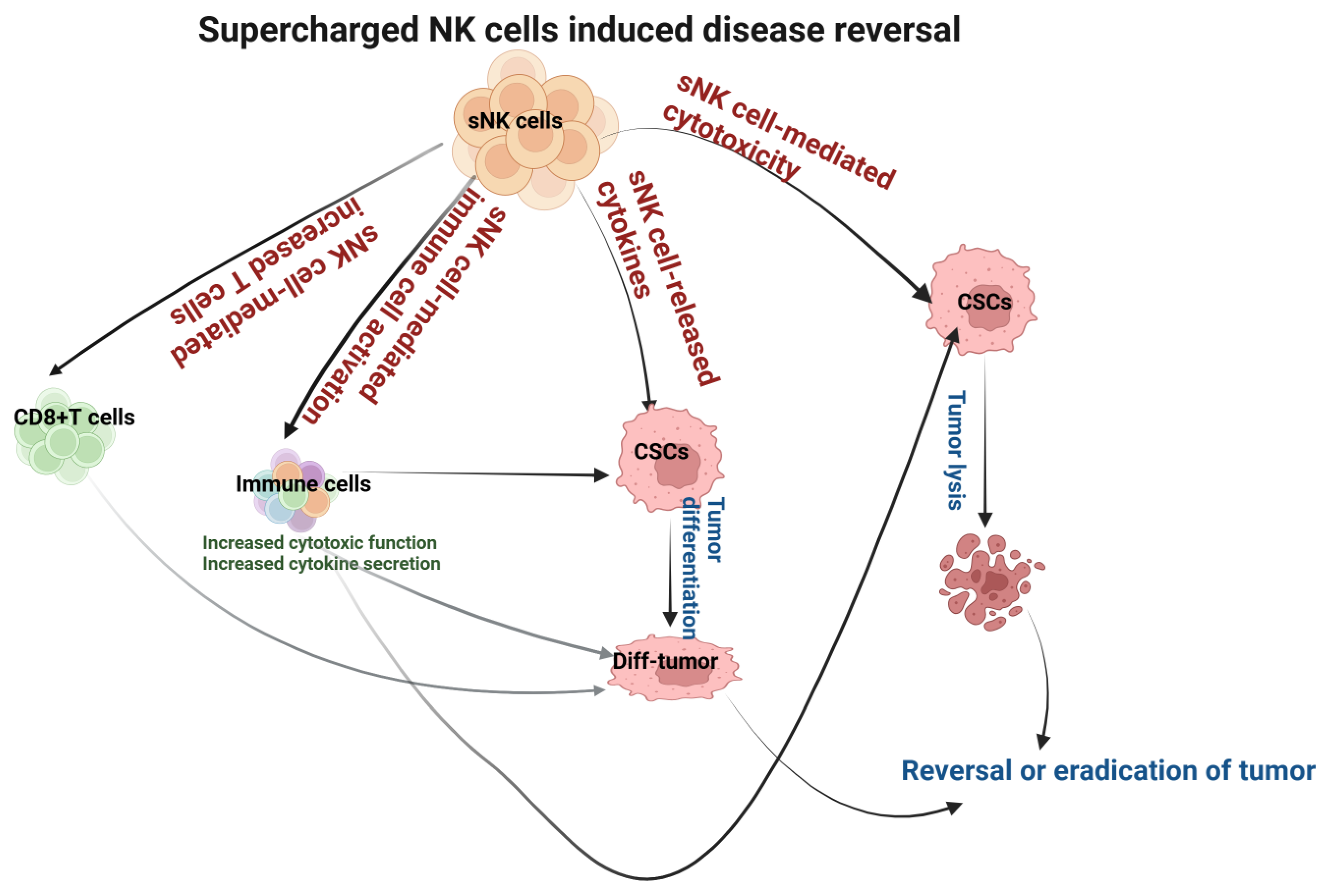 Immuno 05 00008 g004