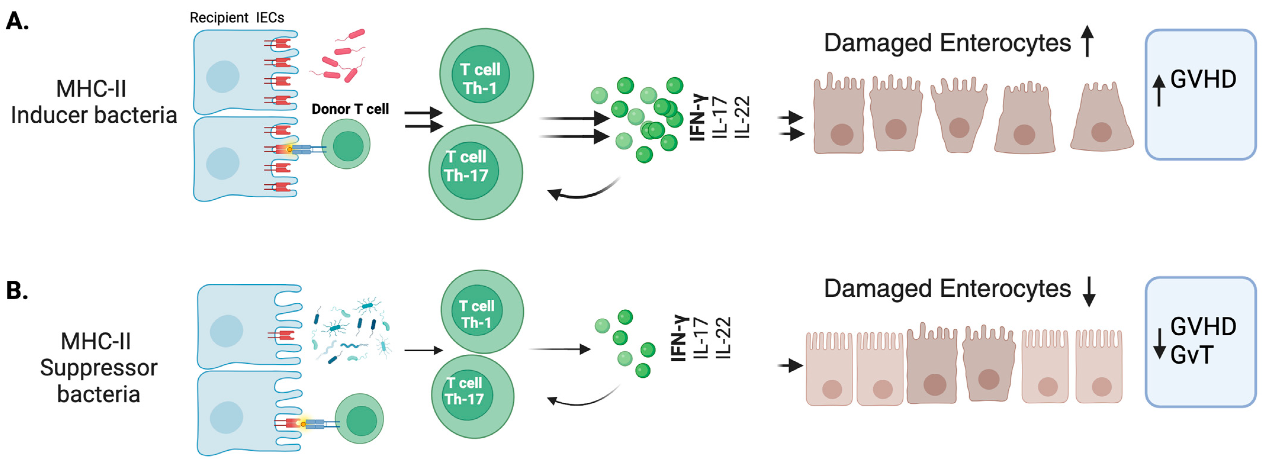 Immuno 05 00010 g001 Immuno 05 00010 g001