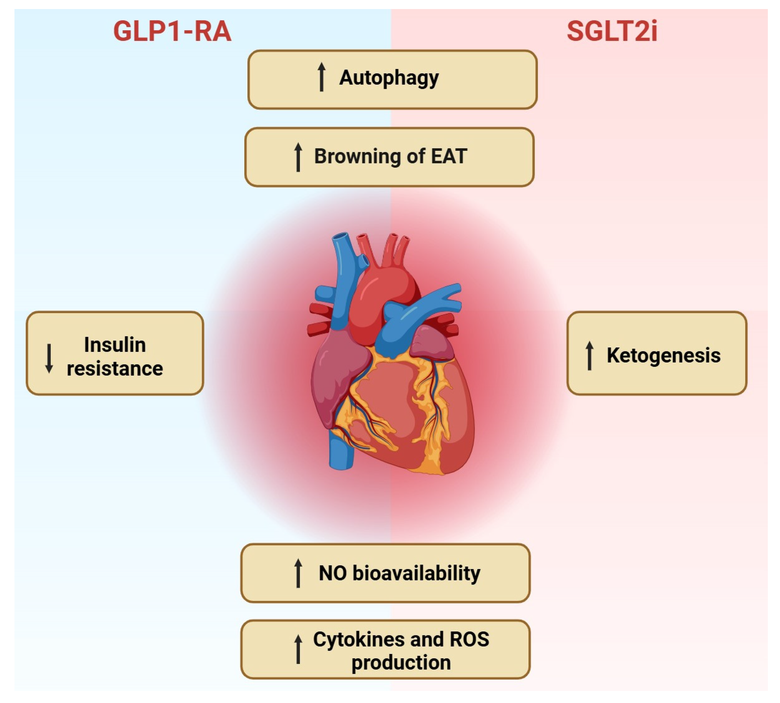 Immuno 05 00011 g001 Immuno 05 00011 g001