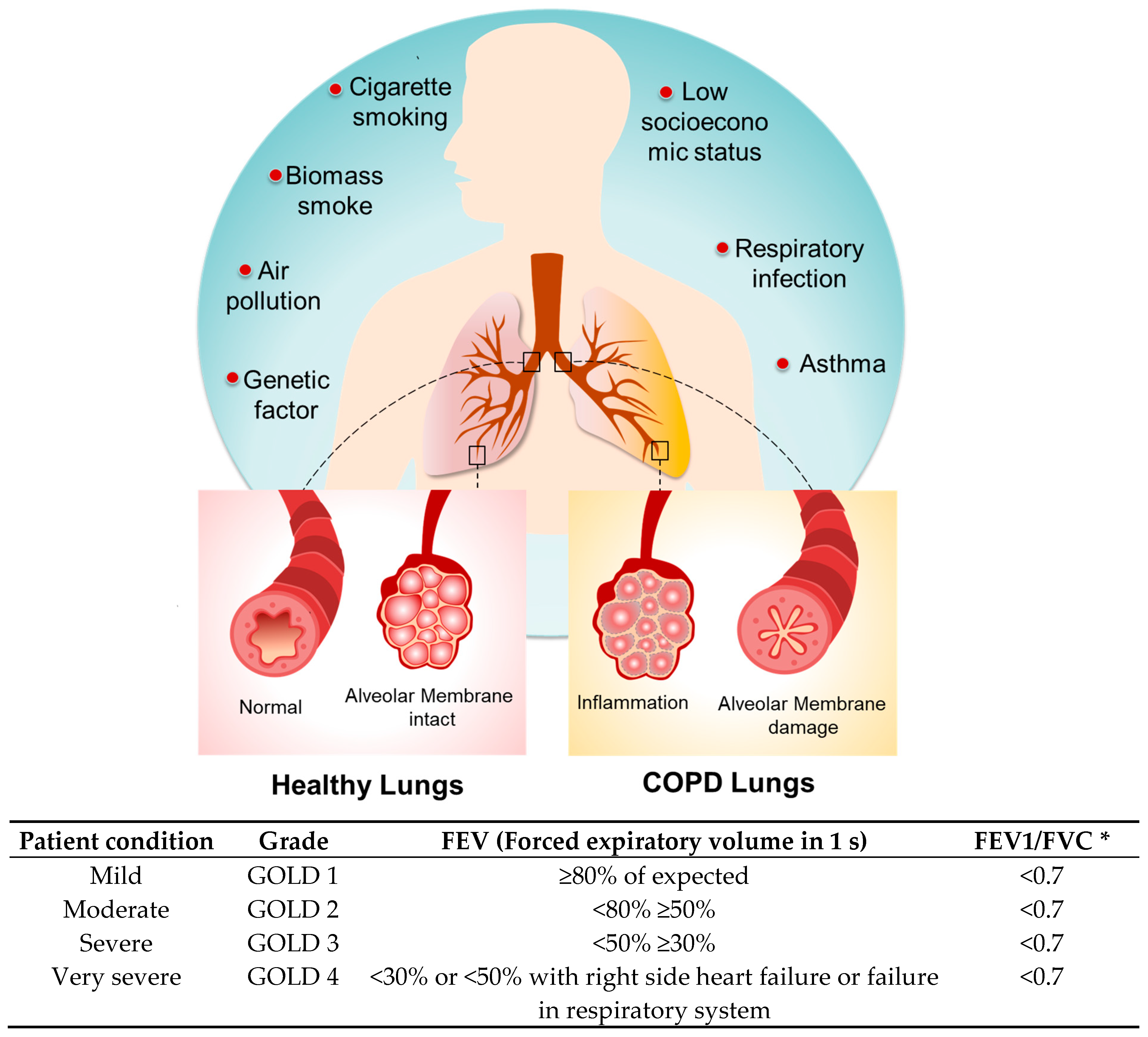 Immuno 05 00013 g001 Immuno 05 00013 g001