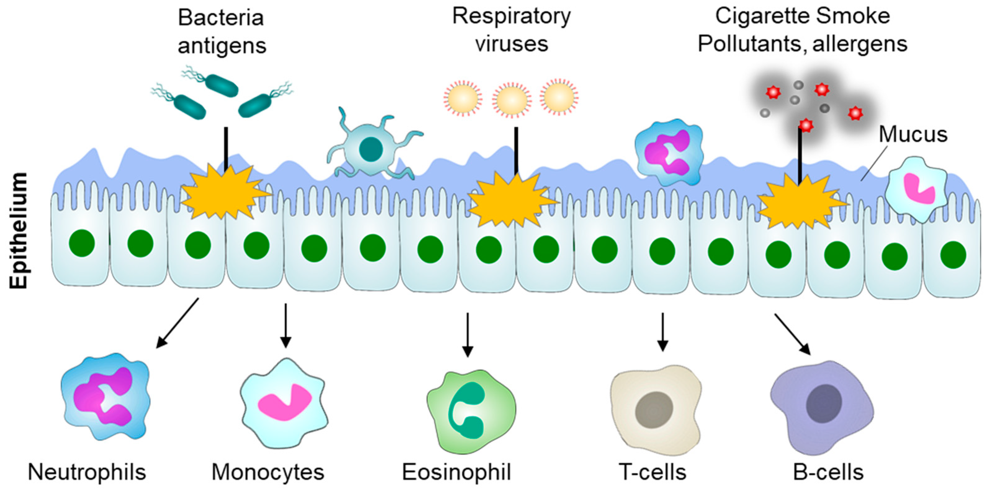 Immuno 05 00013 g002 Immuno 05 00013 g002