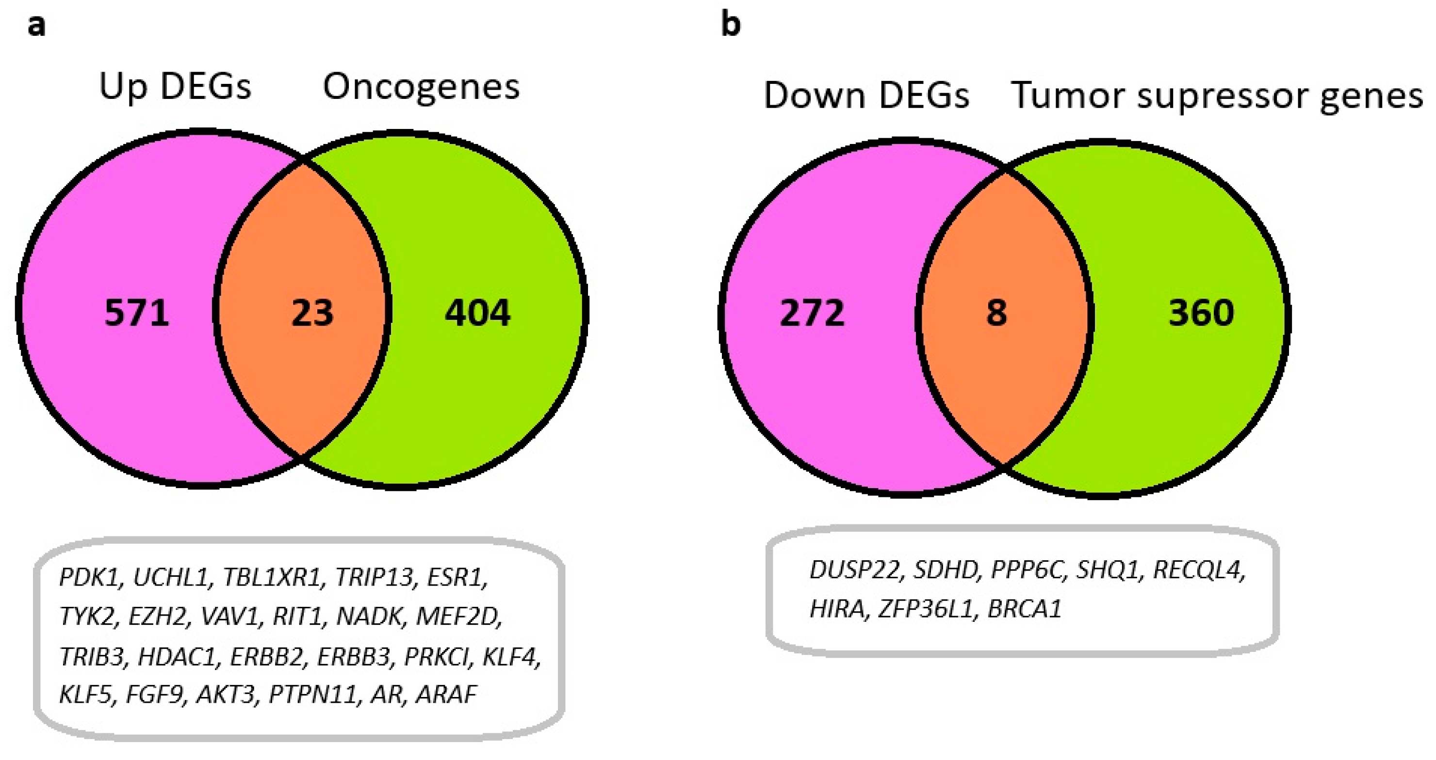 Immuno 05 00023 g004 Immuno 05 00023 g004