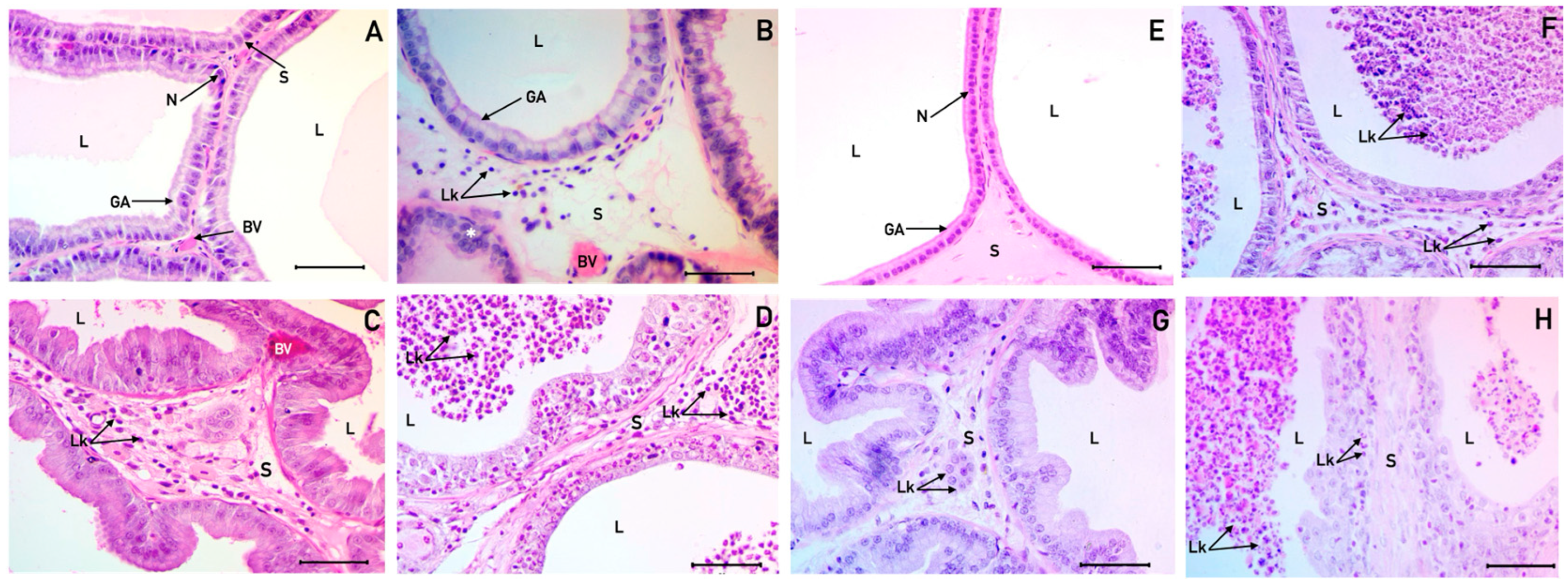 Immuno 05 00033 g001