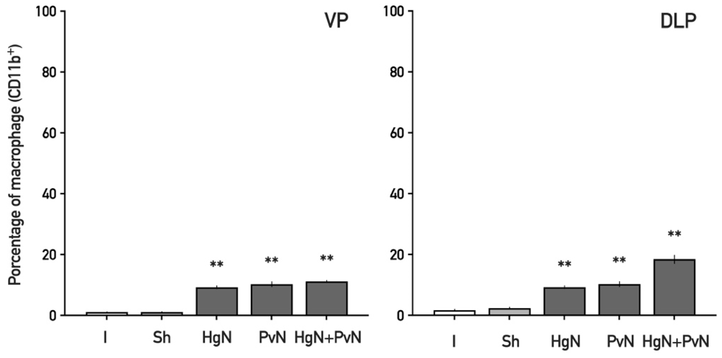 Immuno 05 00033 g007
