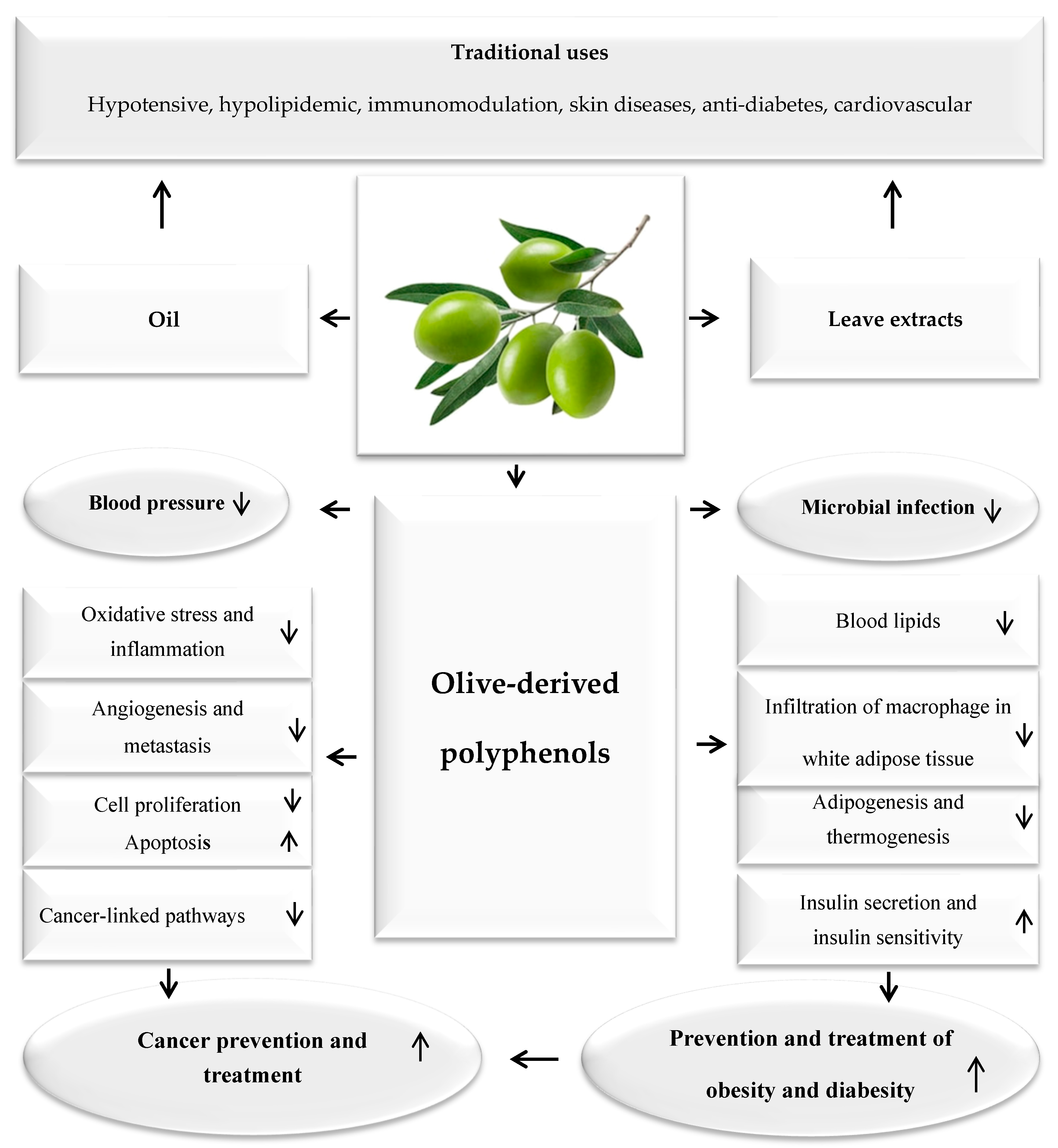 Immuno 05 00036 g001