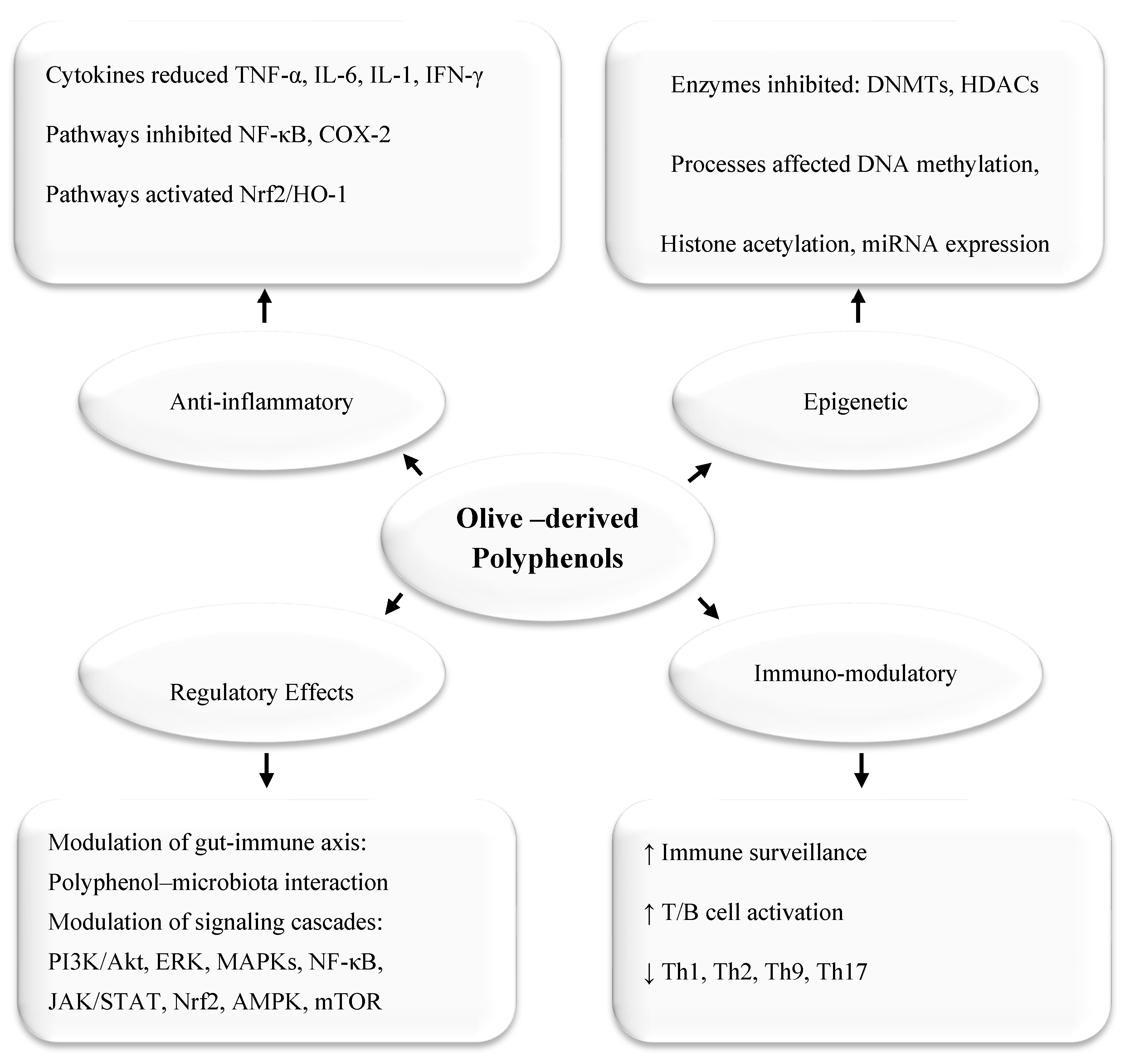 Immuno 05 00036 g003