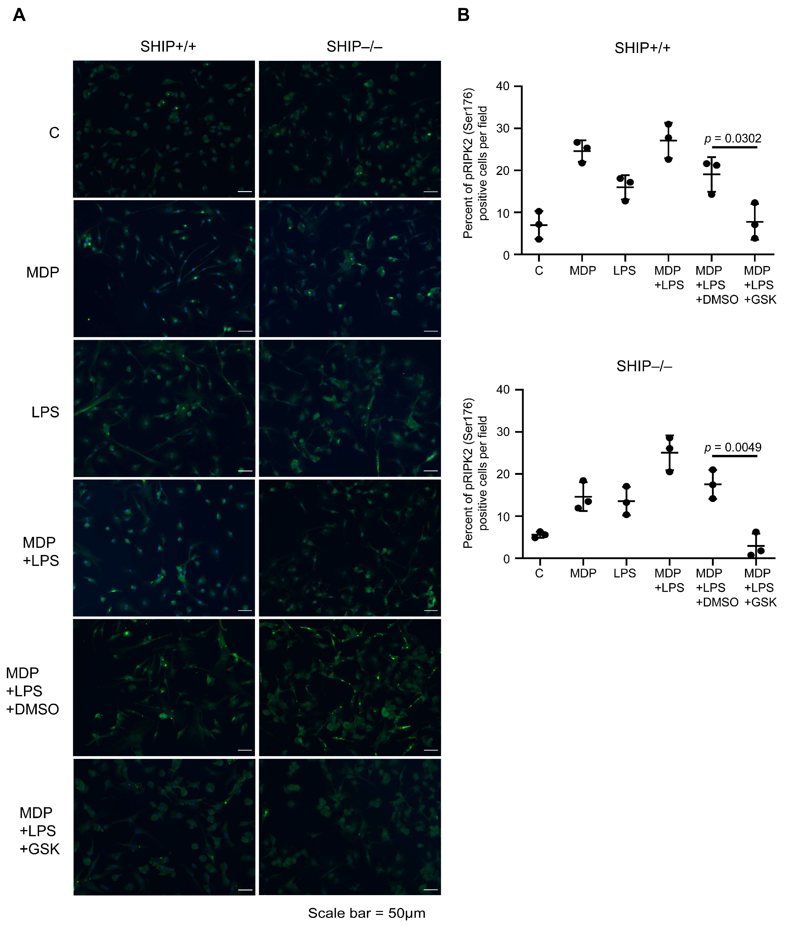 Immuno 05 00037 g001 Immuno 05 00037 g001