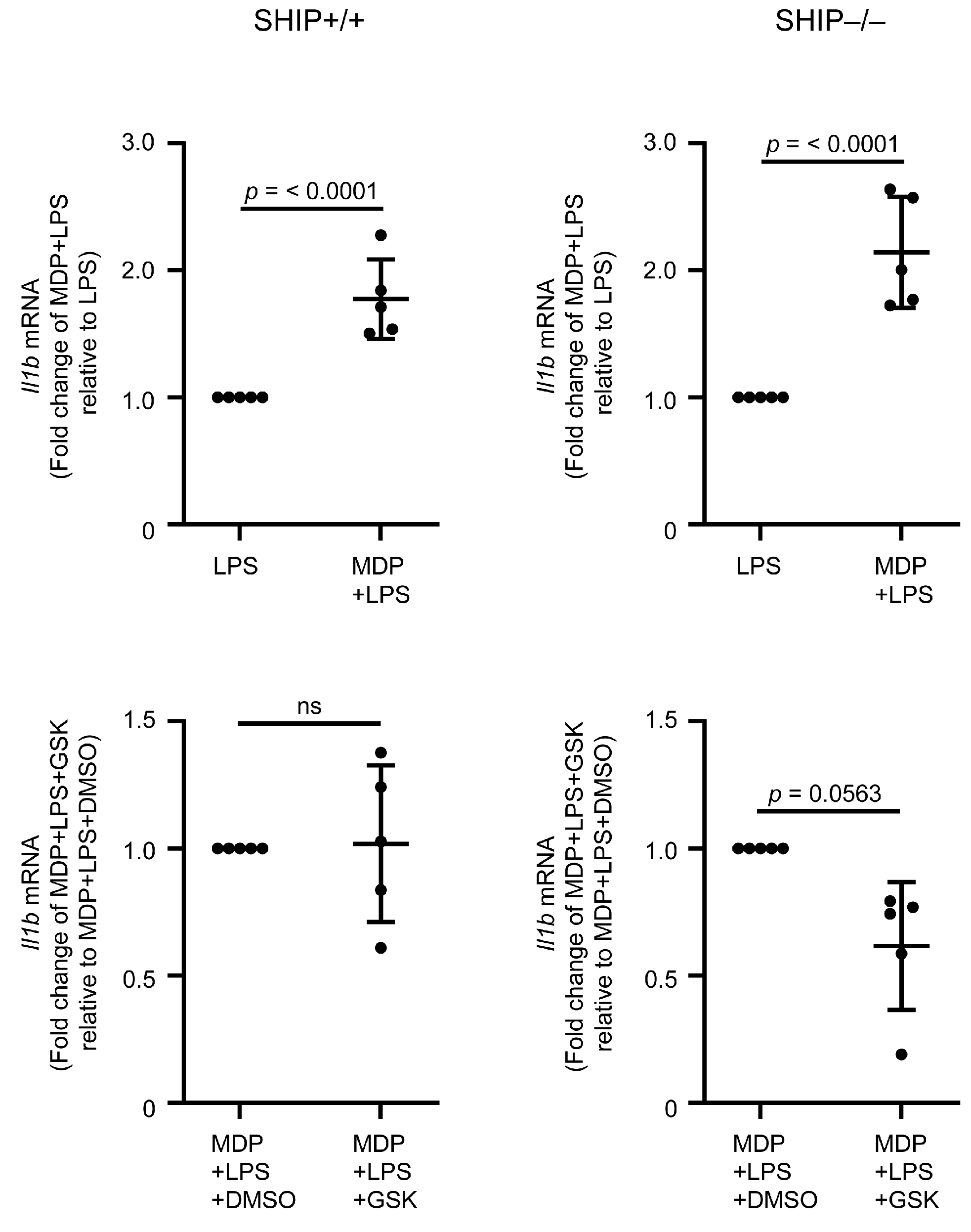 Immuno 05 00037 g003 Immuno 05 00037 g003