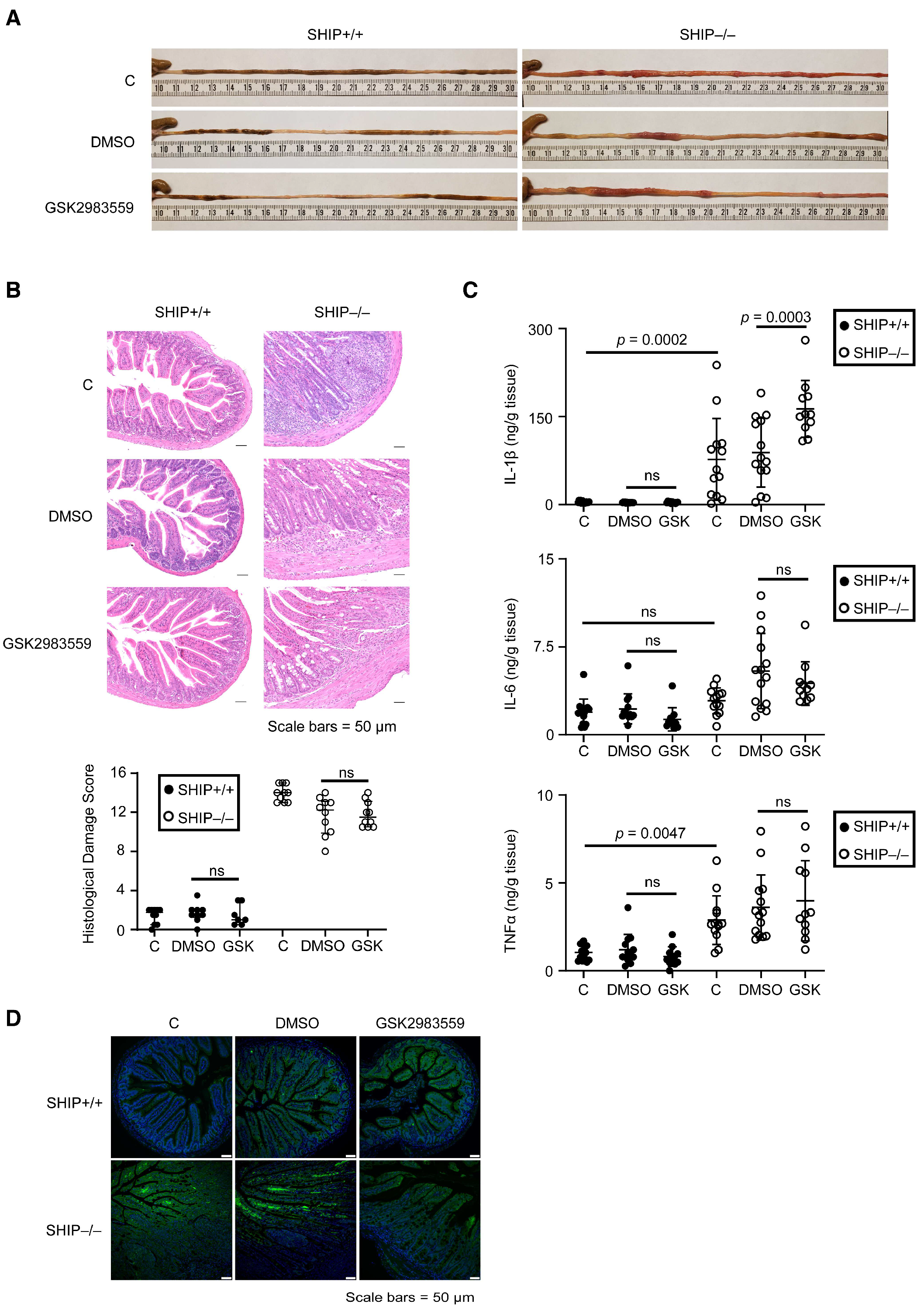Immuno 05 00037 g004 Immuno 05 00037 g004