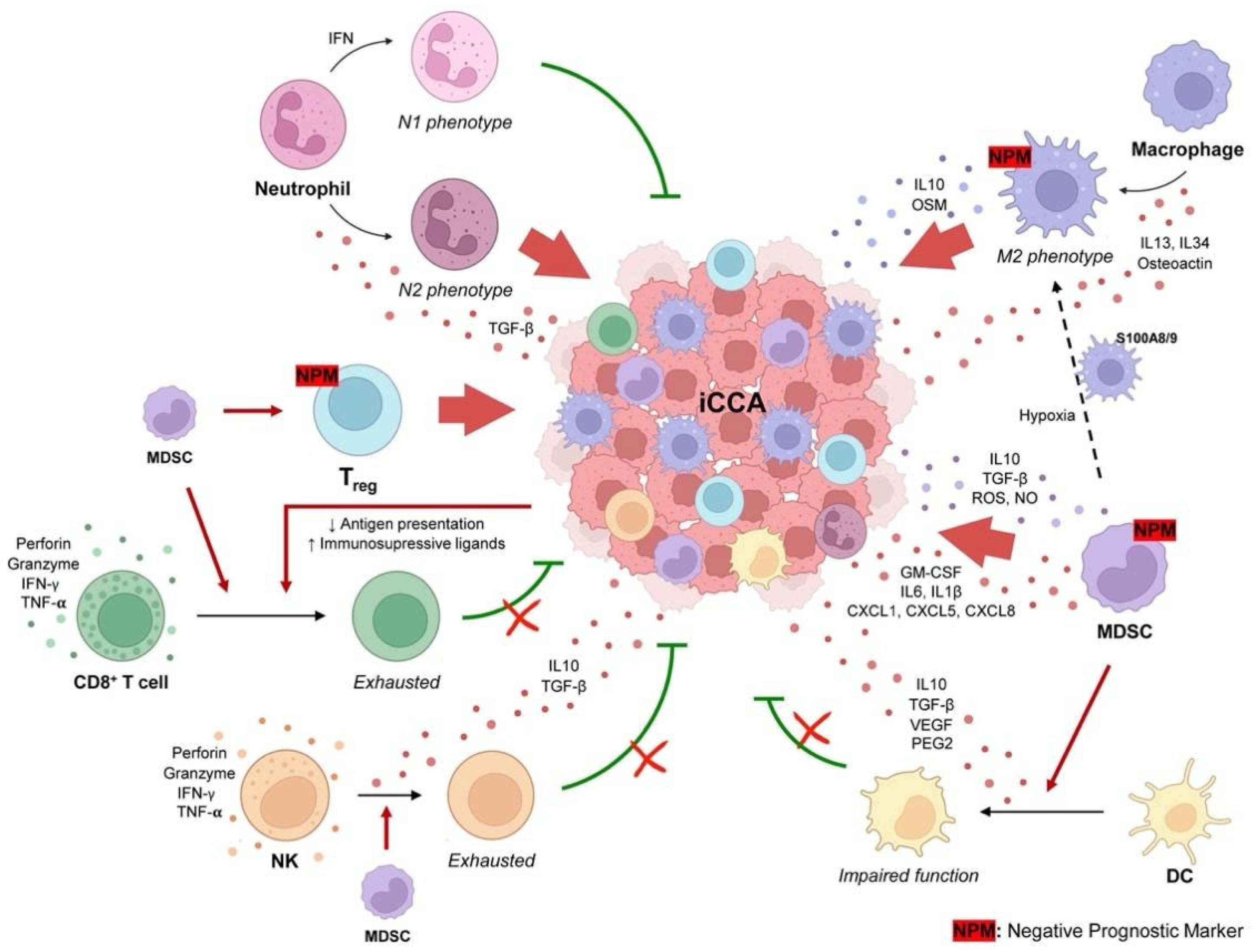 Immuno 05 00040 g001