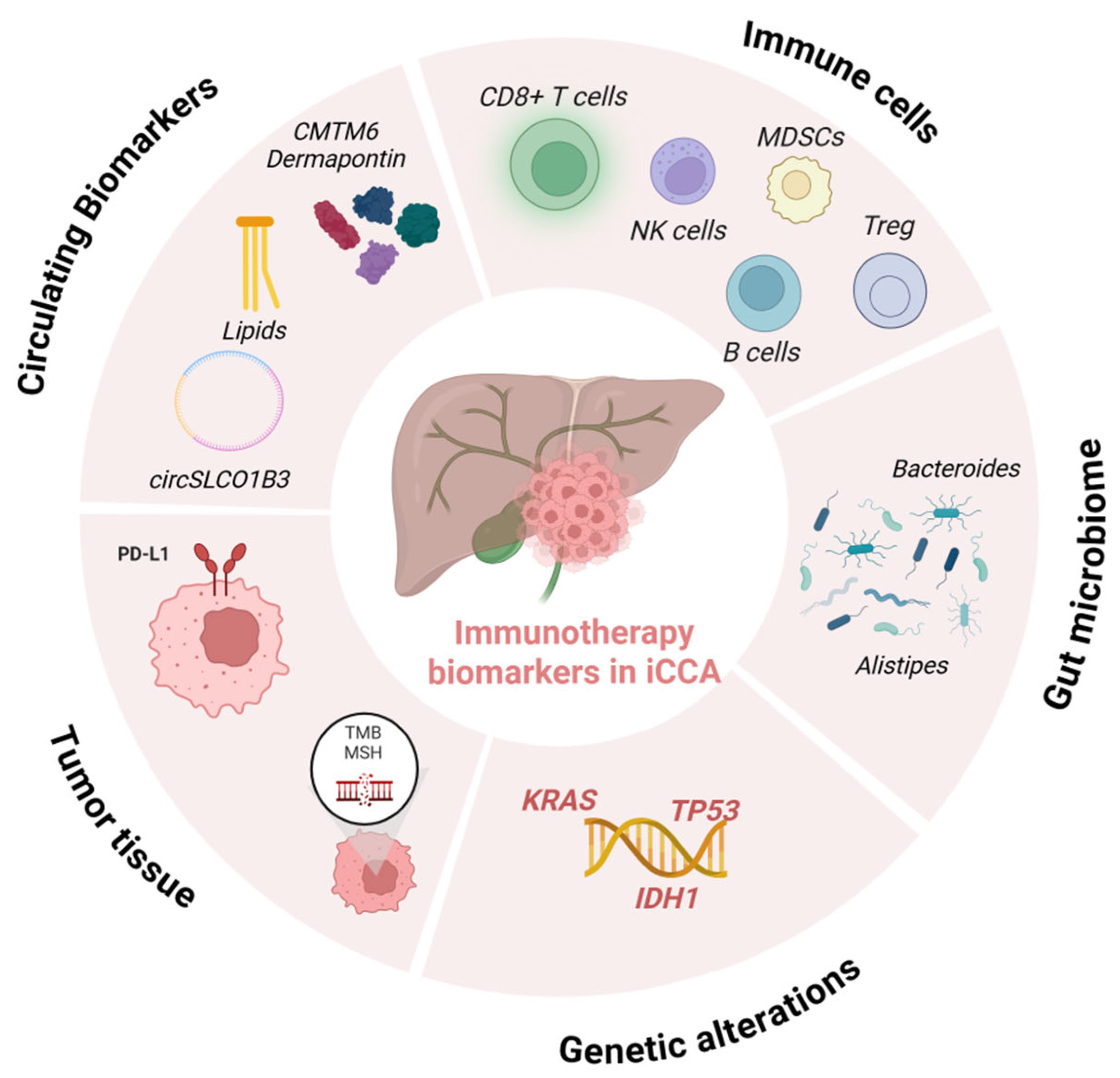 Immuno 05 00040 g002