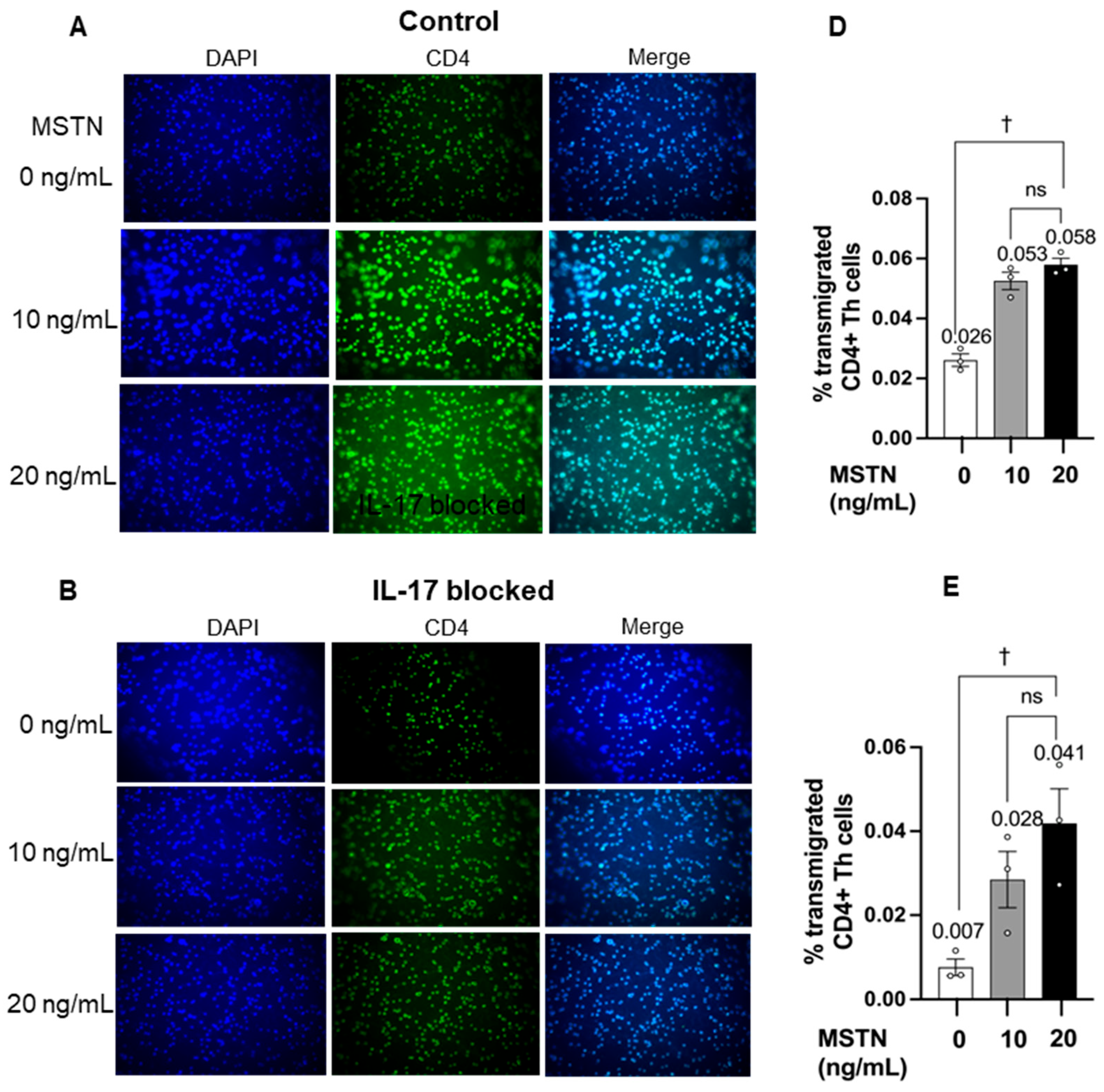 Immuno 05 00042 g007a Immuno 05 00042 g007a