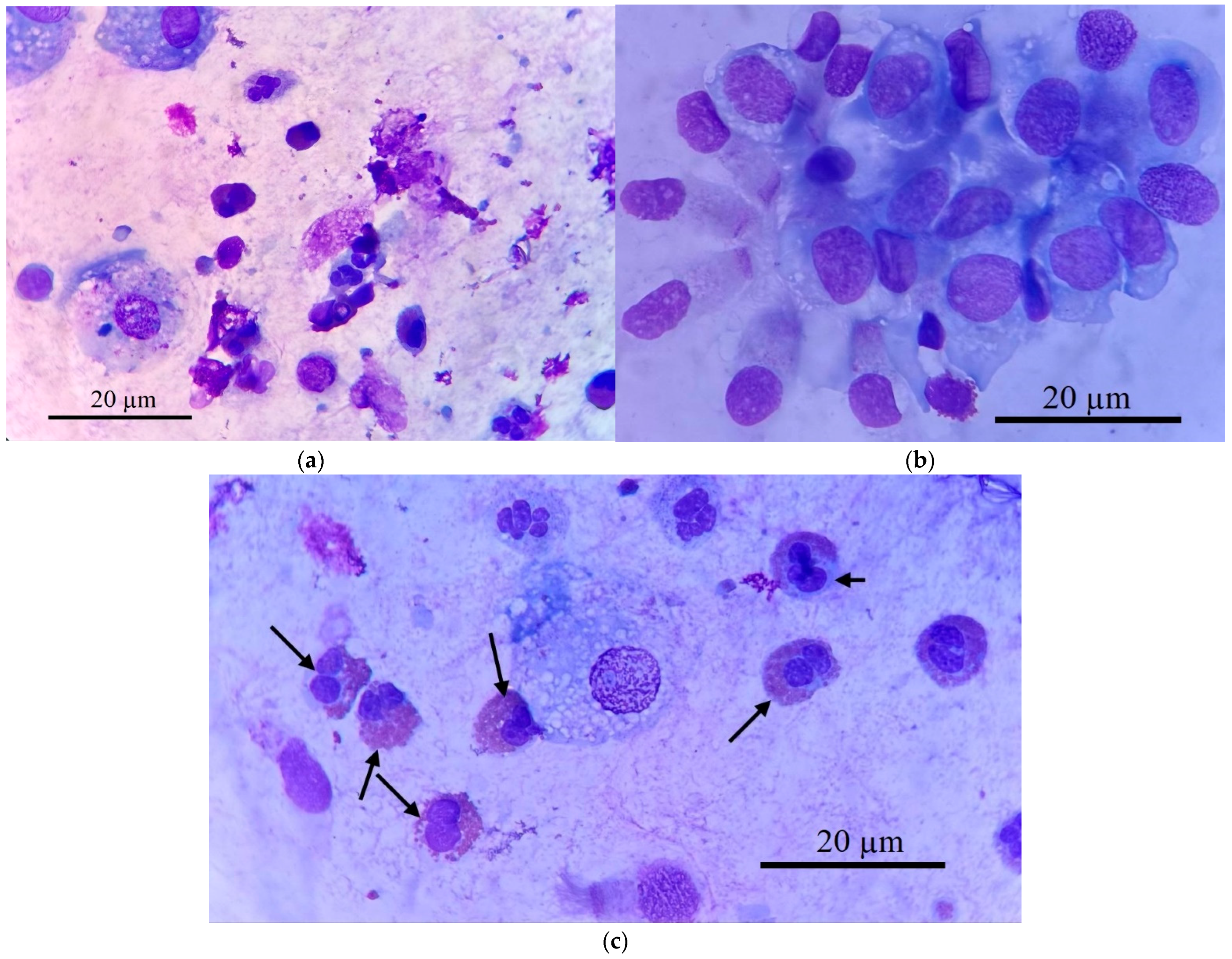 Immuno 05 00043 g002 Immuno 05 00043 g002