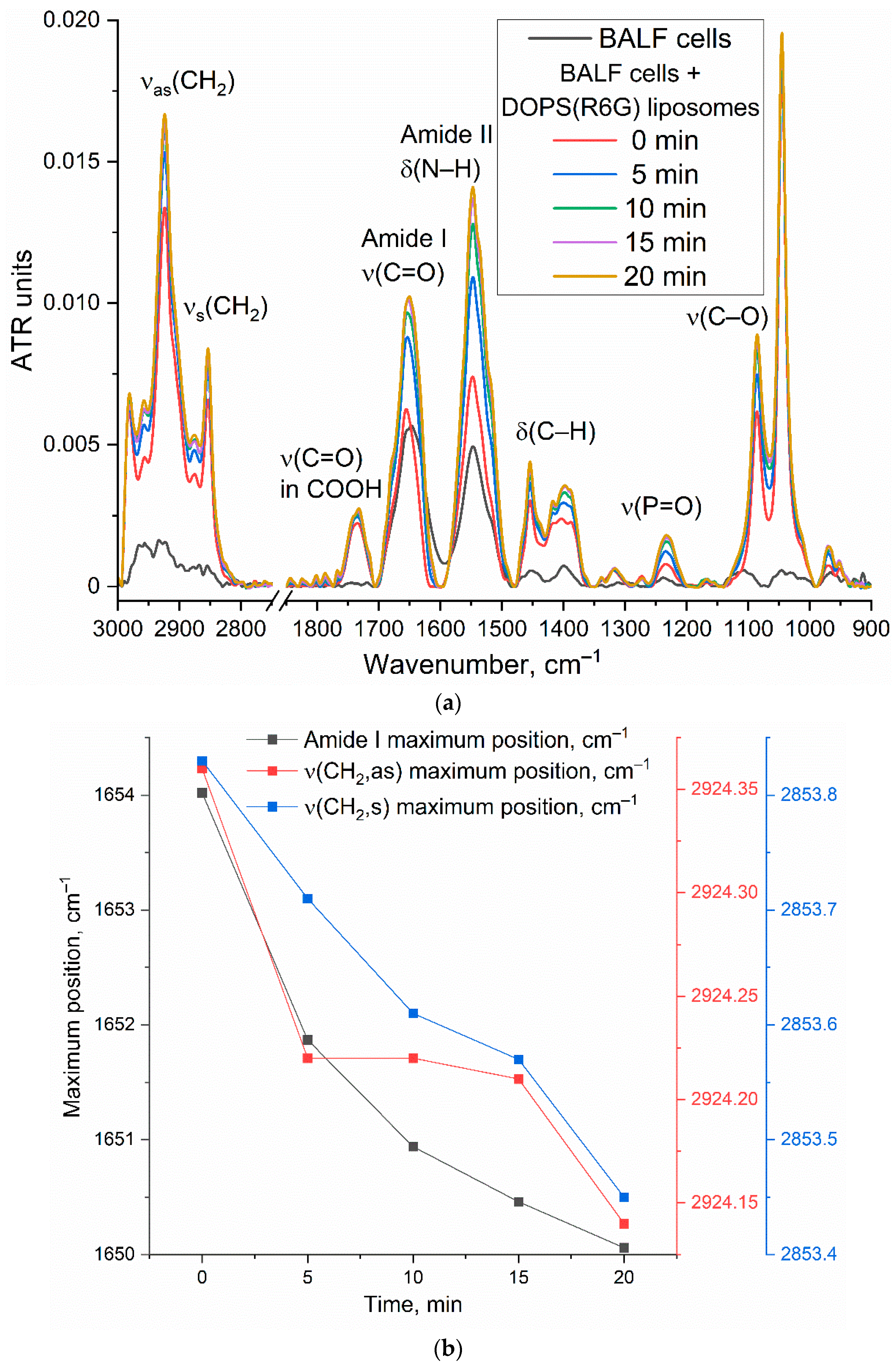 Immuno 05 00043 g004 Immuno 05 00043 g004