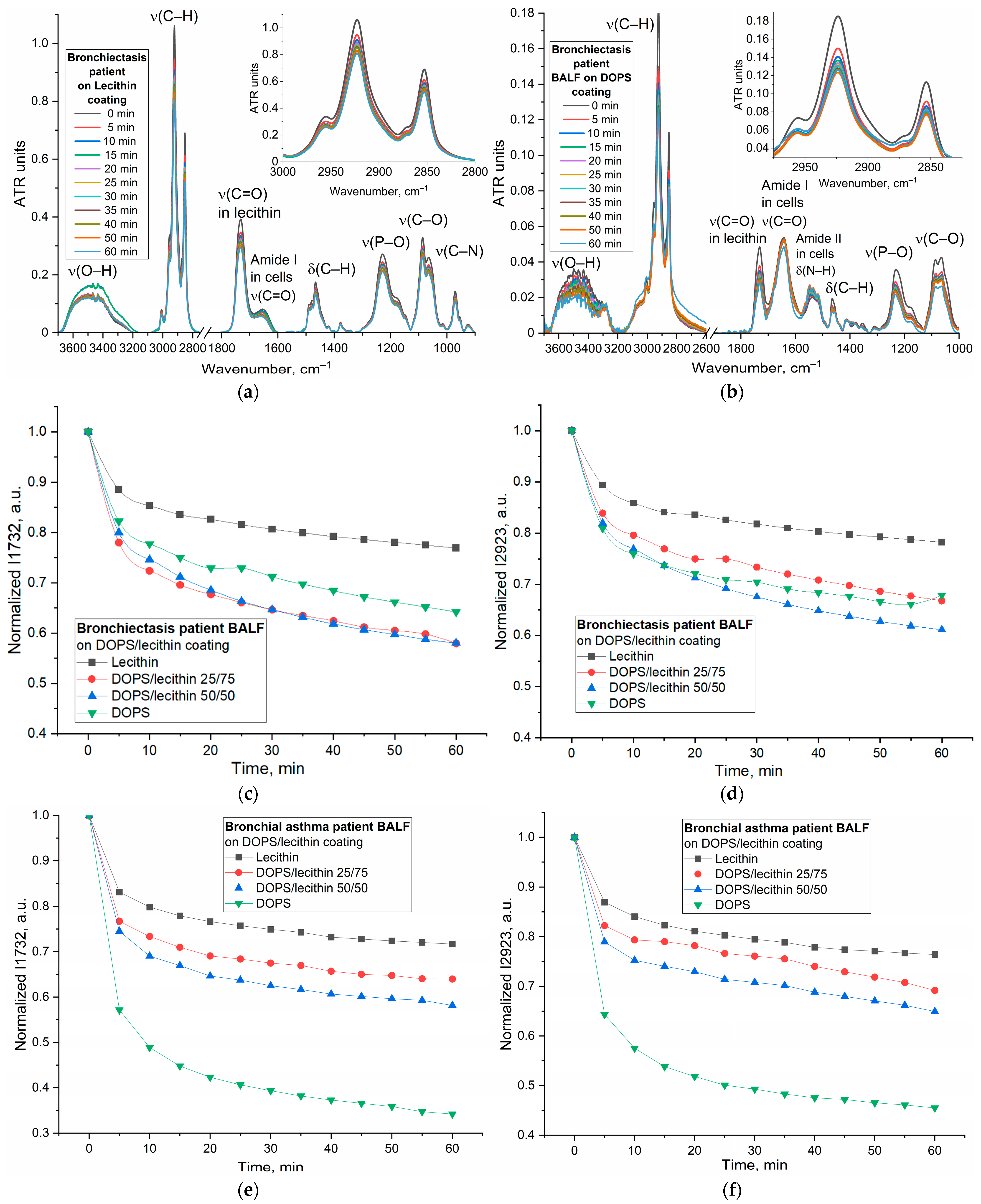 Immuno 05 00043 g005a Immuno 05 00043 g005a