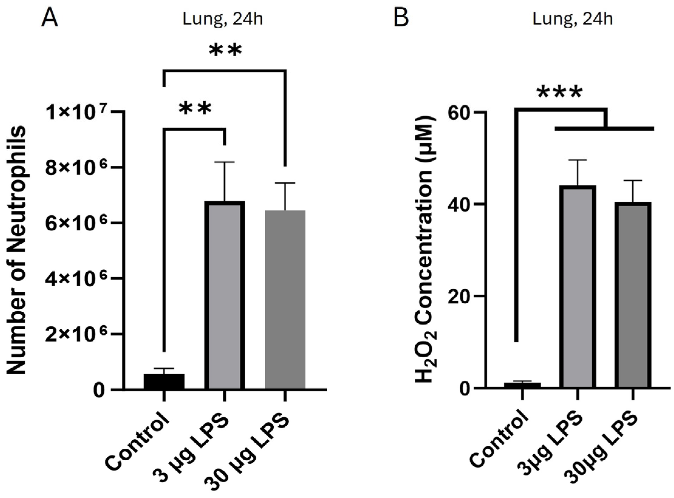 Immuno 05 00047 g002