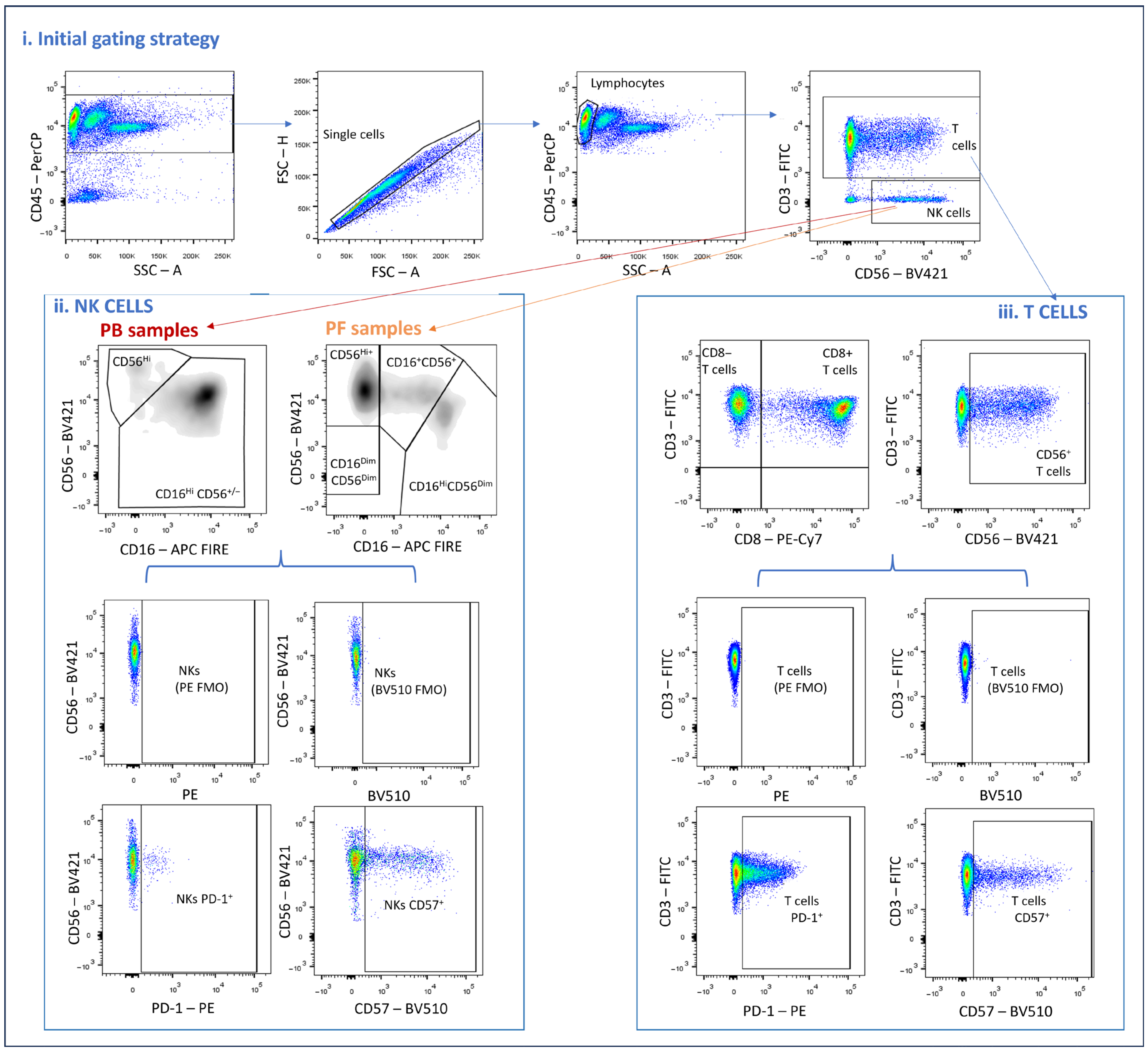 Immuno 05 00049 g001