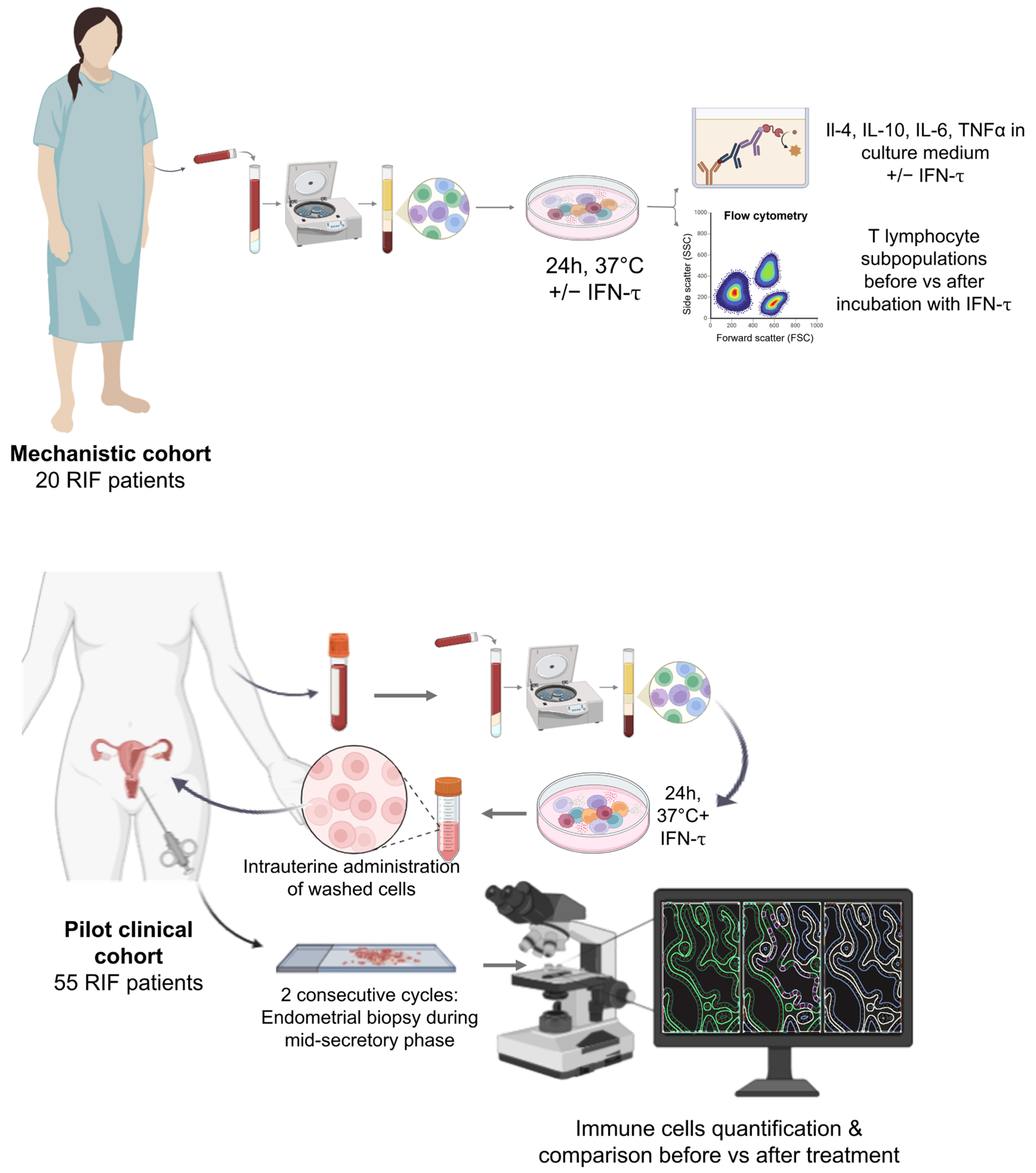 Immuno 05 00051 g001 Immuno 05 00051 g001