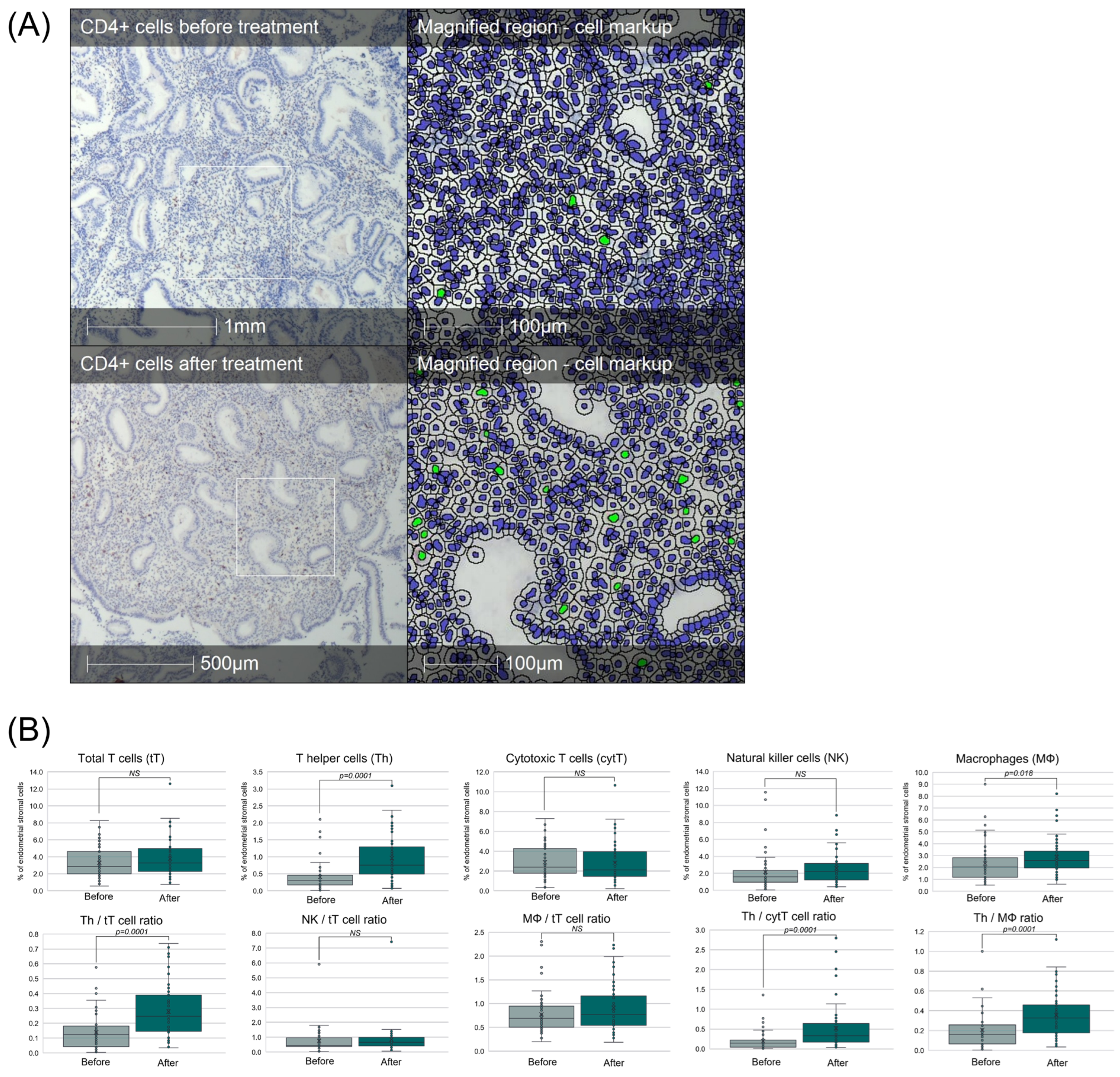 Immuno 05 00051 g004 Immuno 05 00051 g004