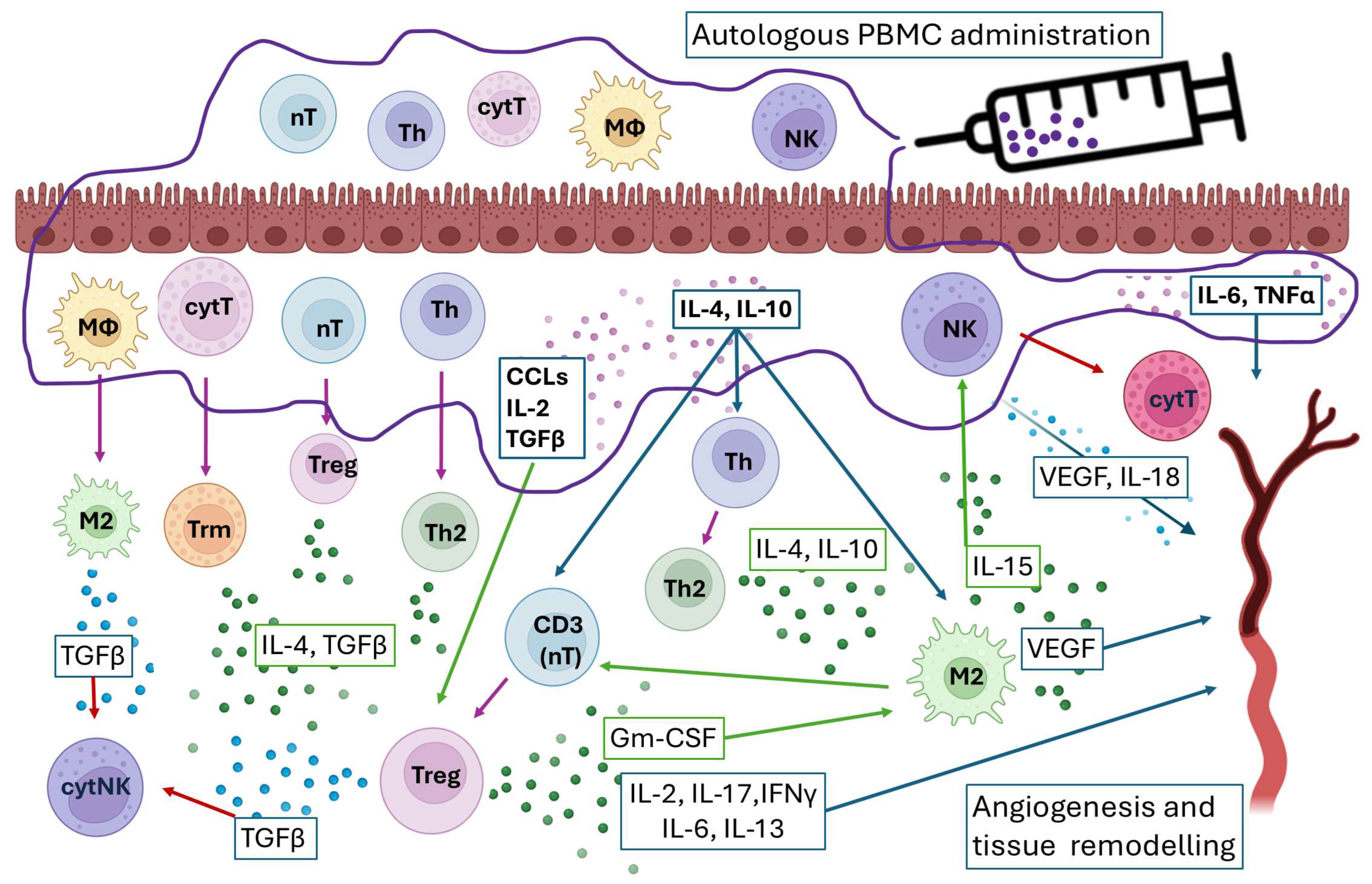 Immuno 05 00054 g006