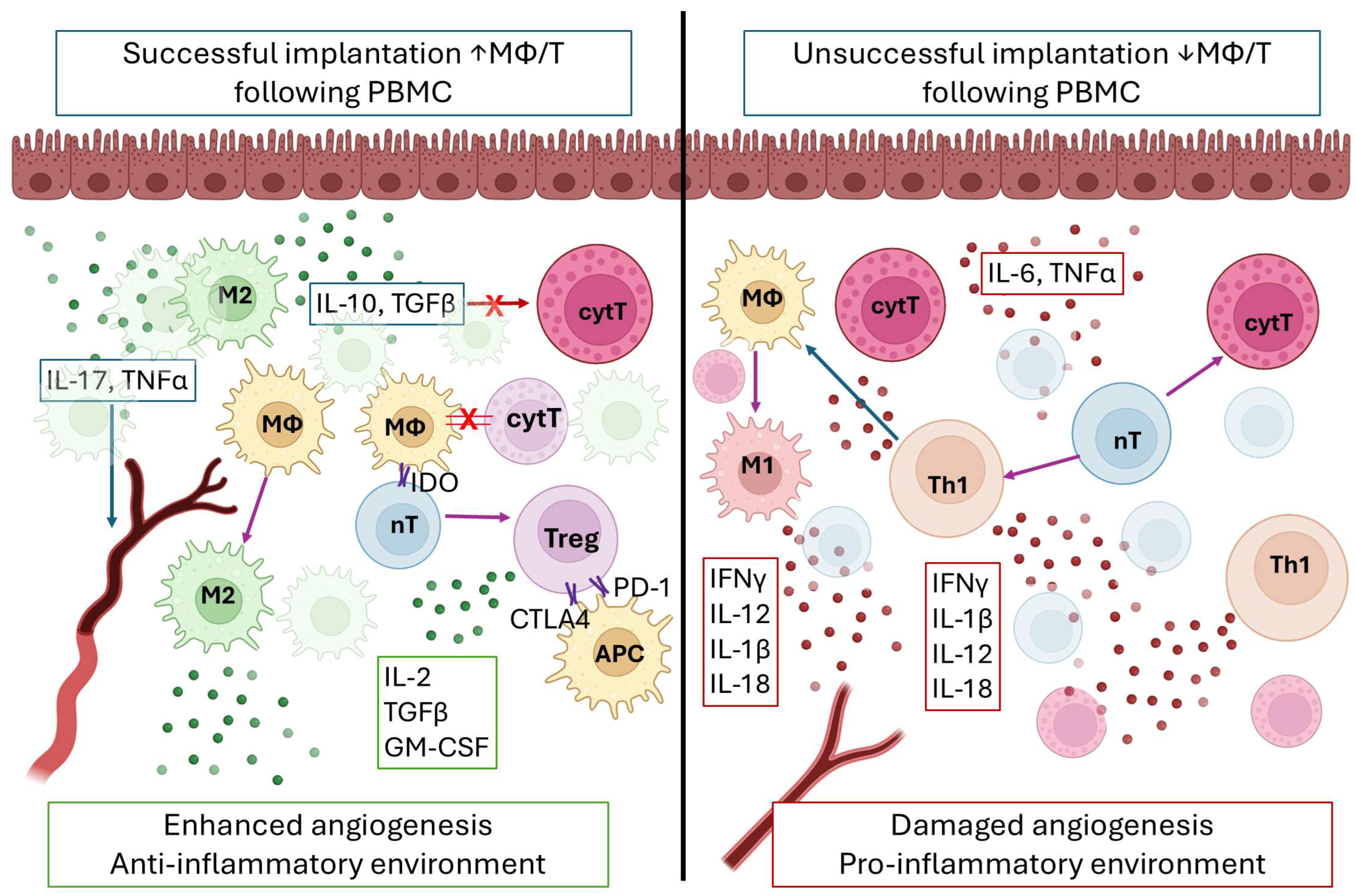 Immuno 05 00054 g007
