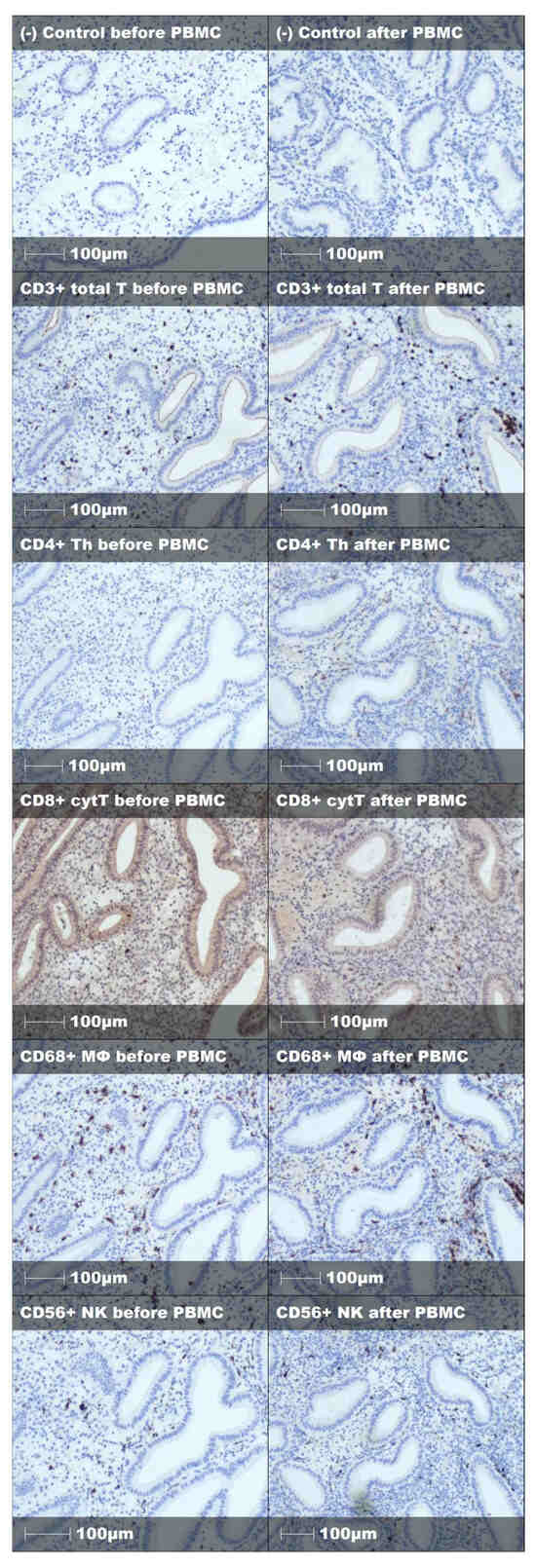 Immuno 05 00054 g0a2