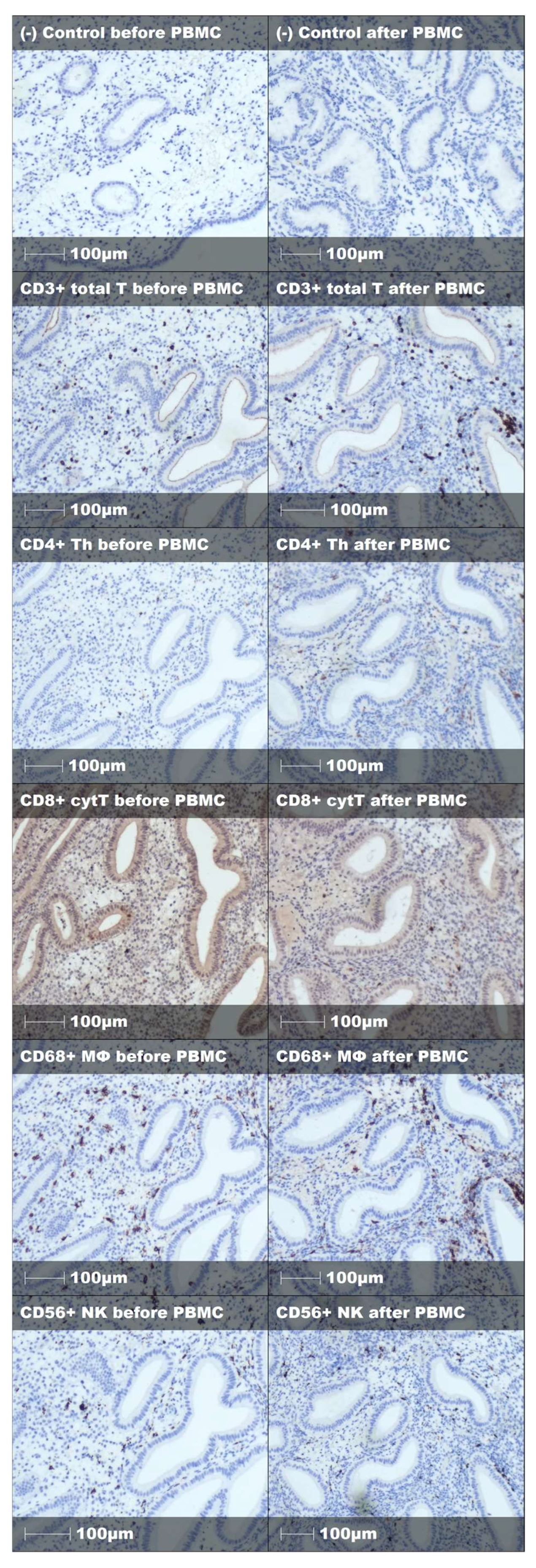 Immuno 05 00054 g0a2