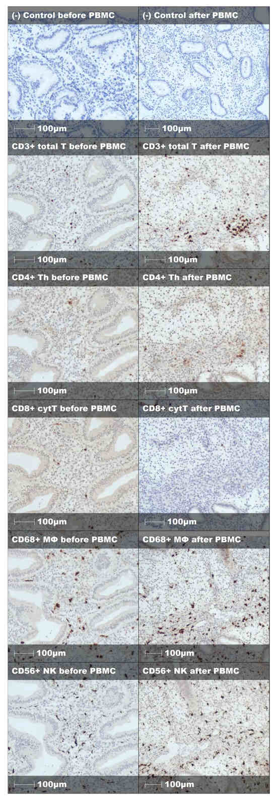Immuno 05 00054 g0a3