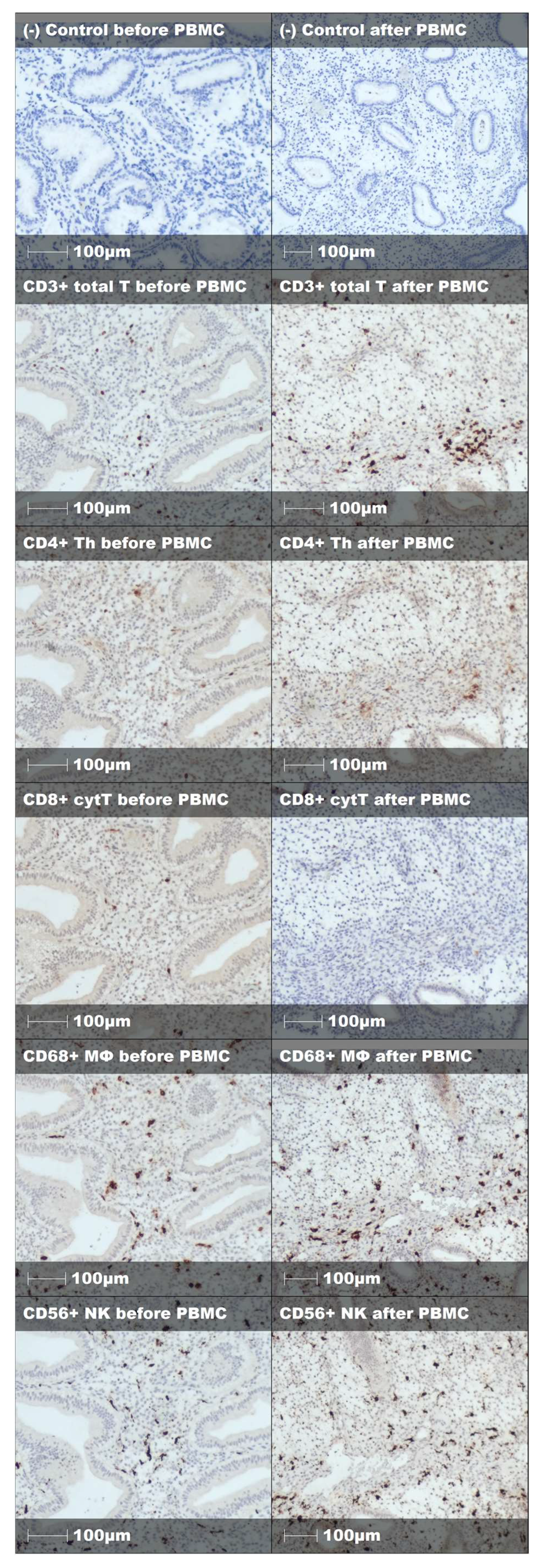 Immuno 05 00054 g0a3