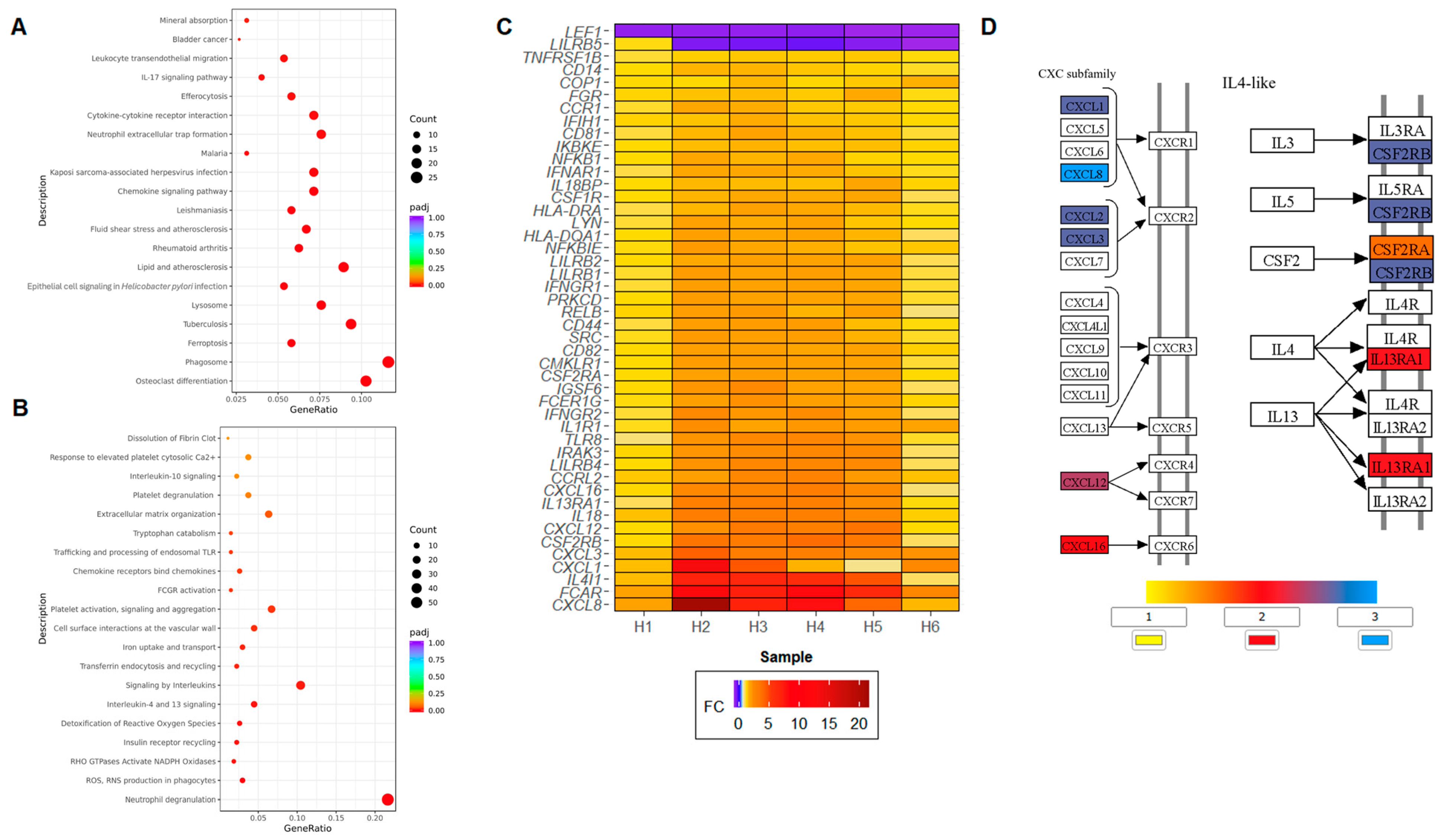 Immuno 06 00002 g002
