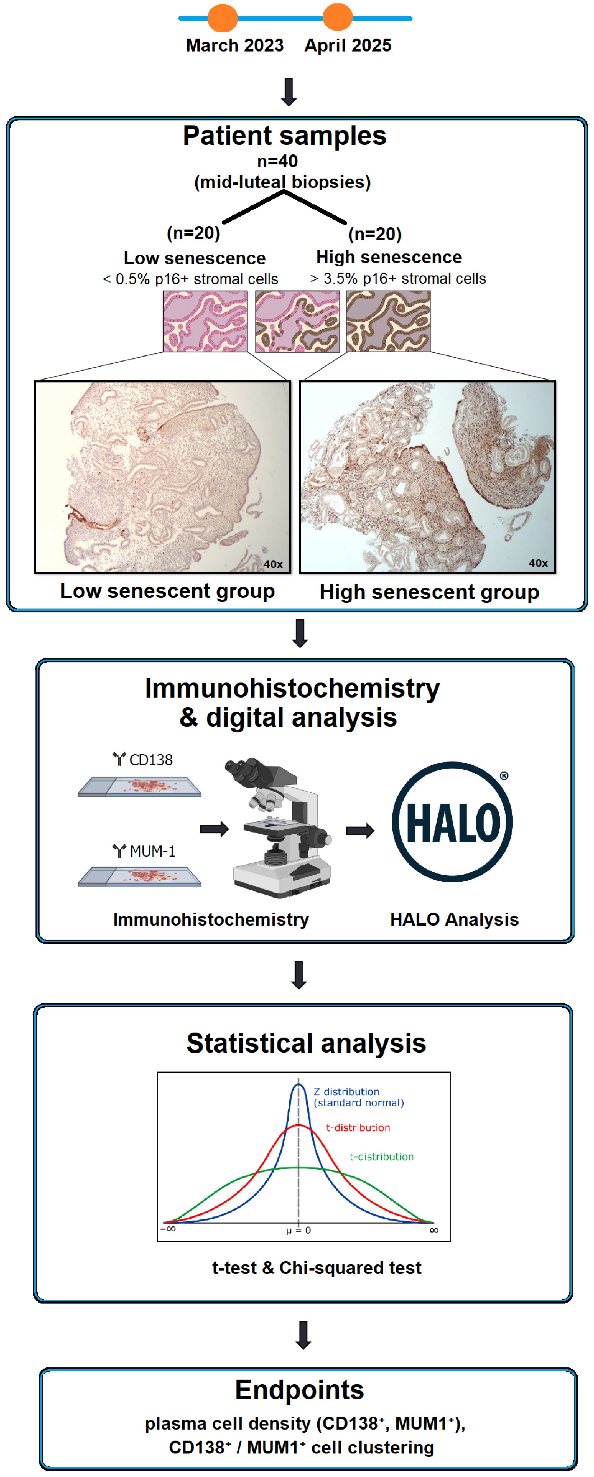 Immuno 06 00003 g001