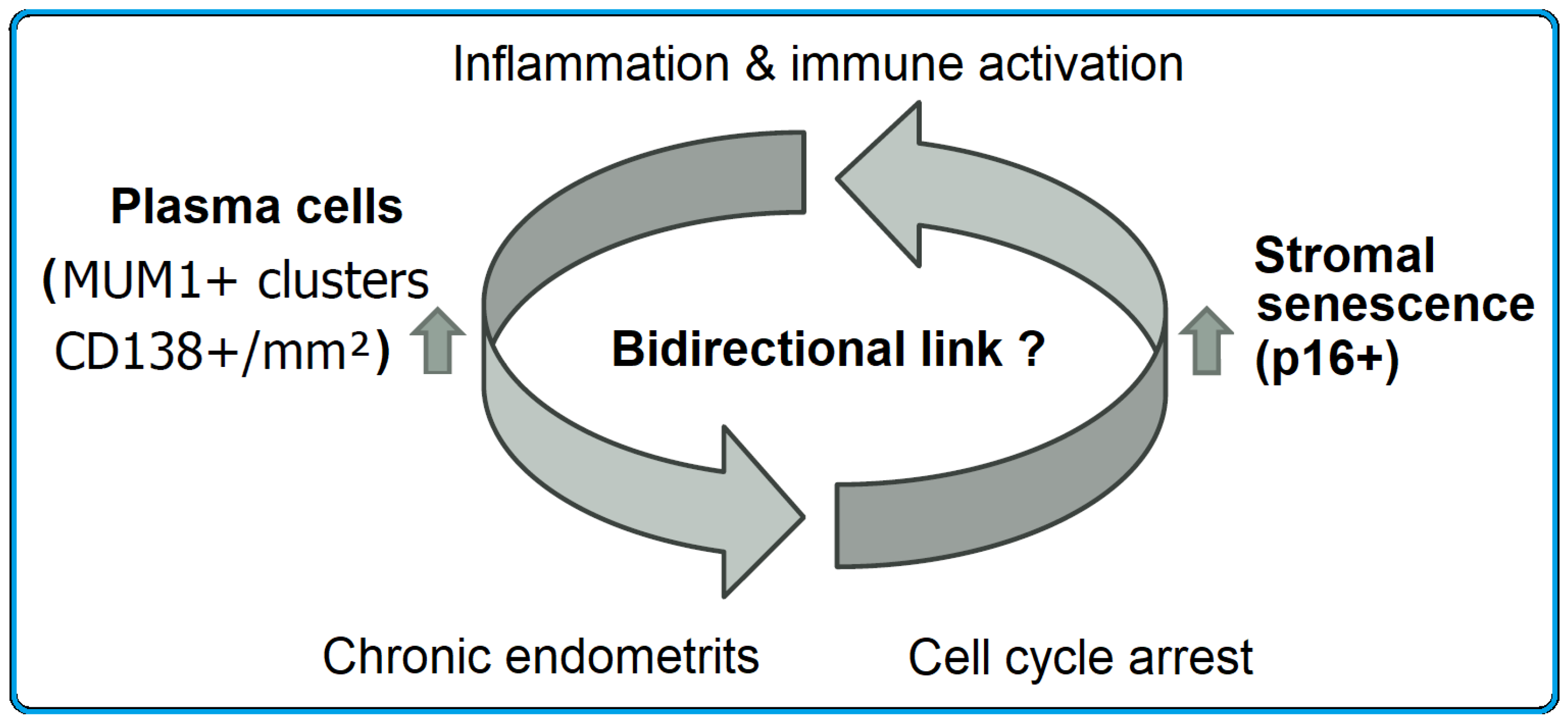 Immuno 06 00003 g006