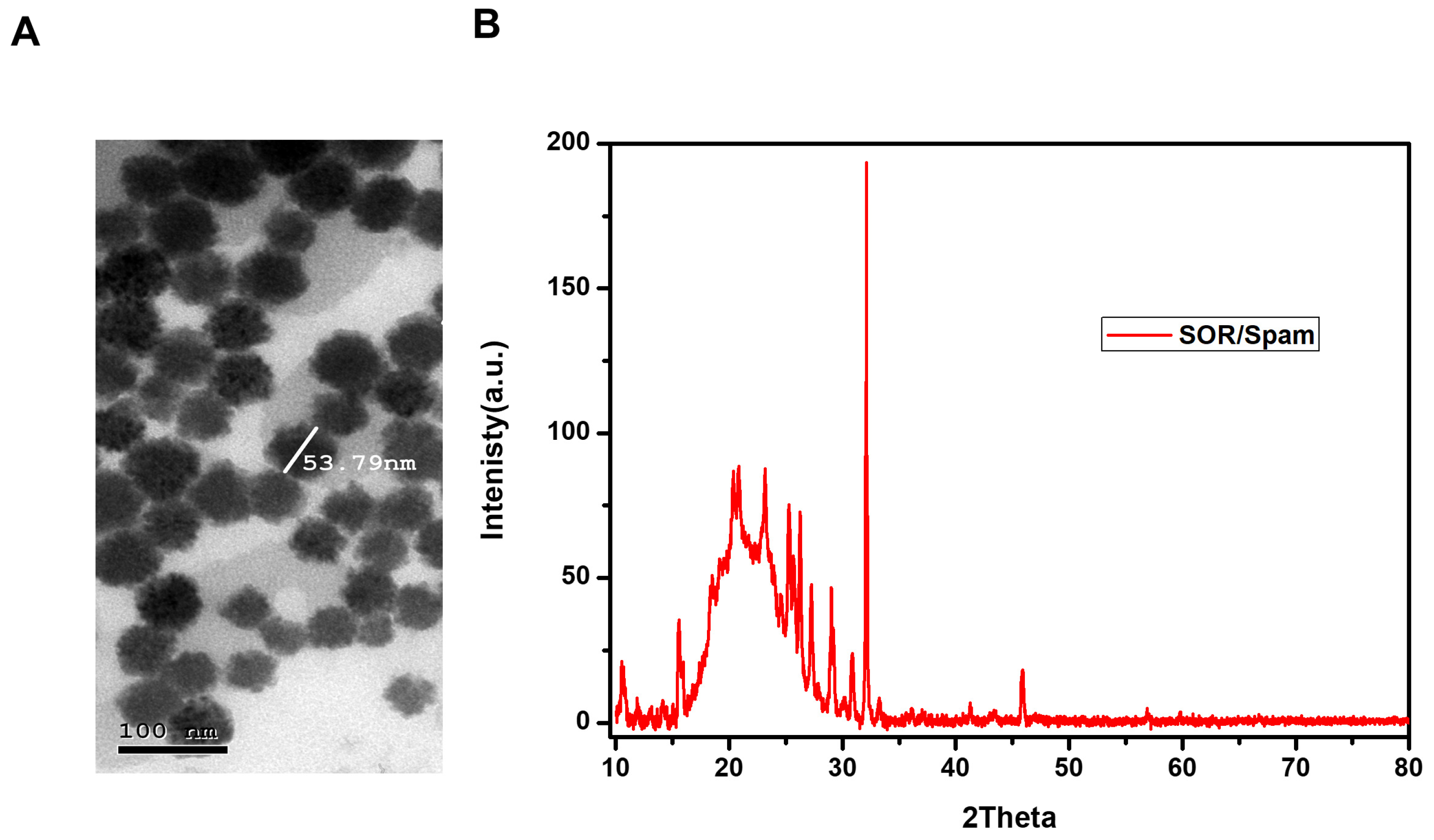 Immuno 06 00005 g001