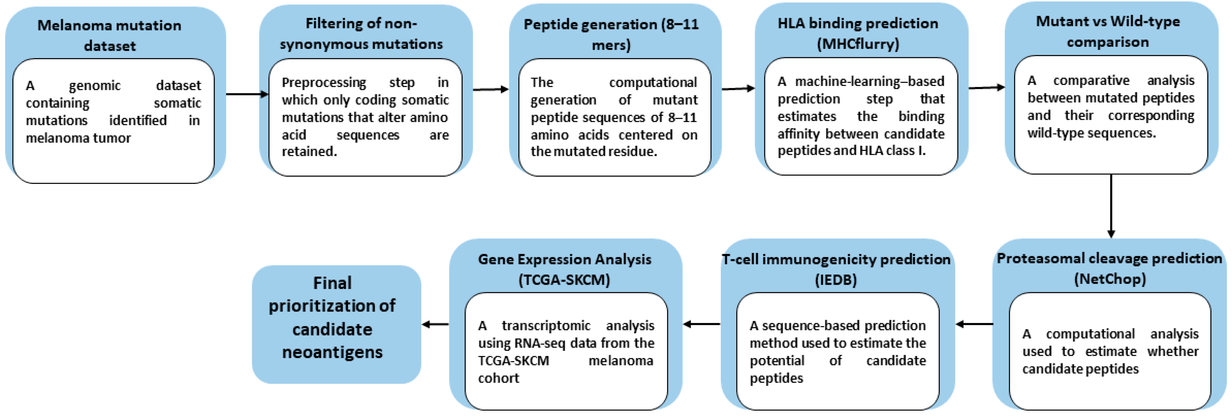 Immuno 06 00021 g001 Immuno 06 00021 g001
