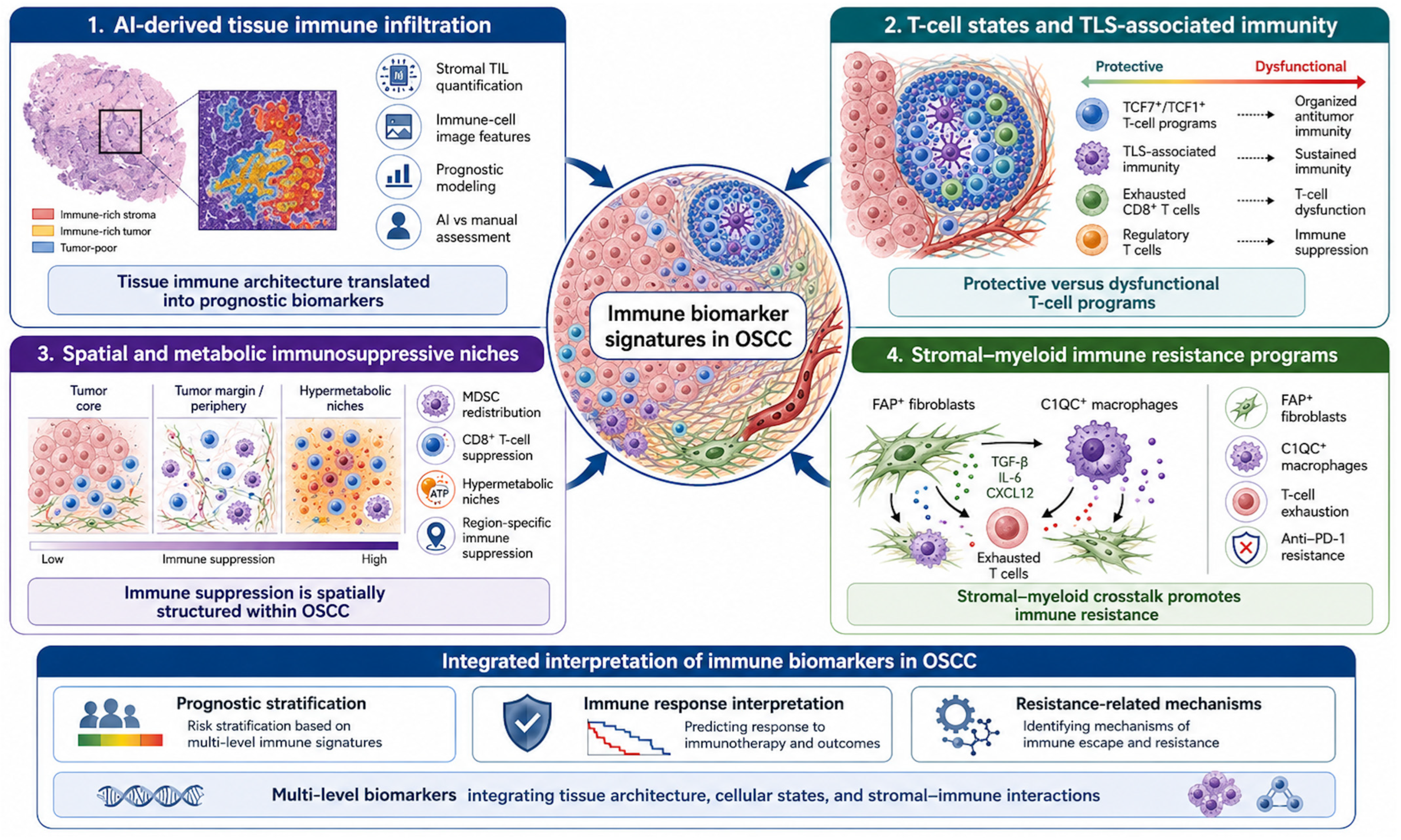Immuno 06 00038 g002 Immuno 06 00038 g002