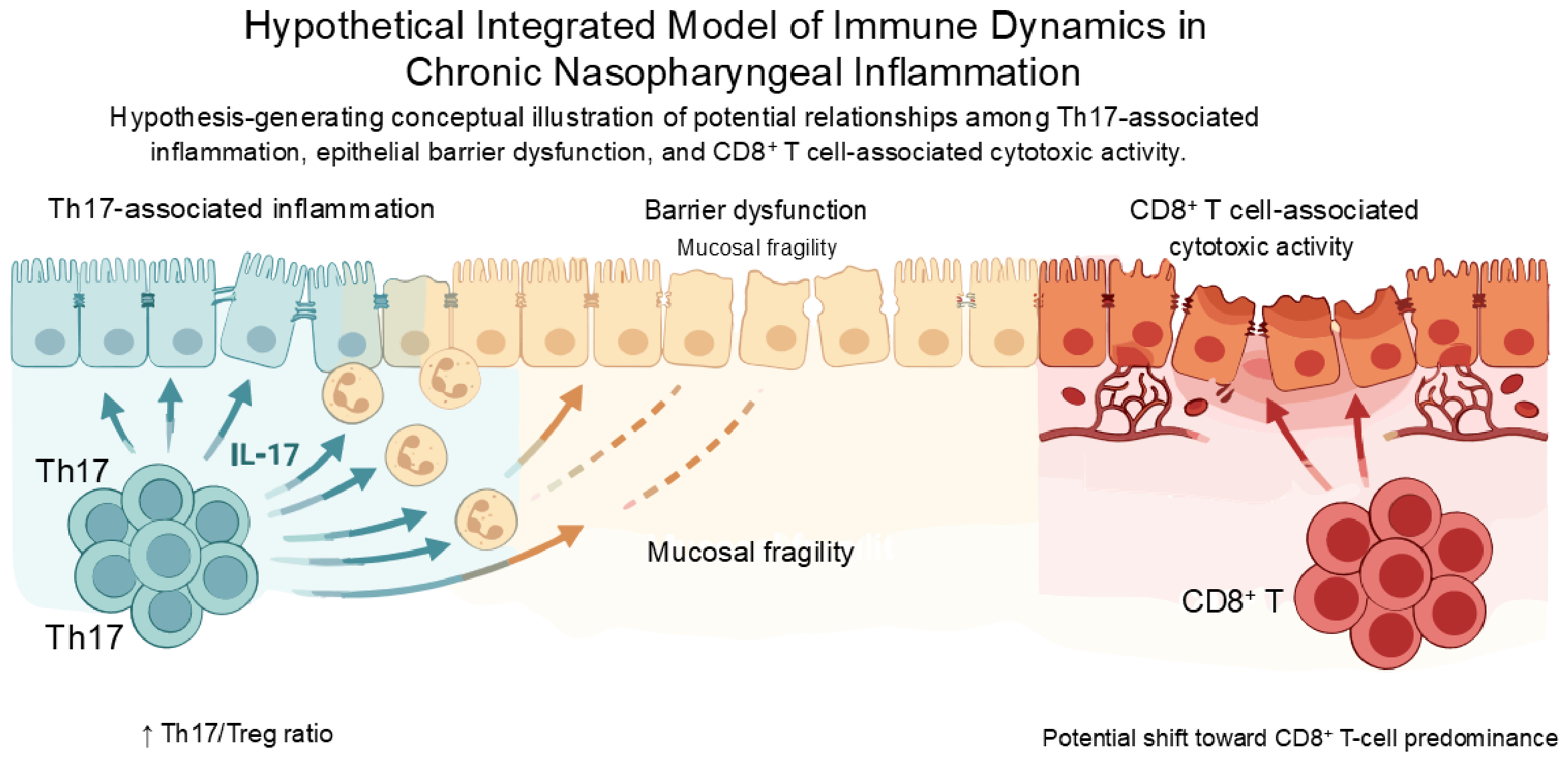 Immuno 06 00055 g004 Immuno 06 00055 g004