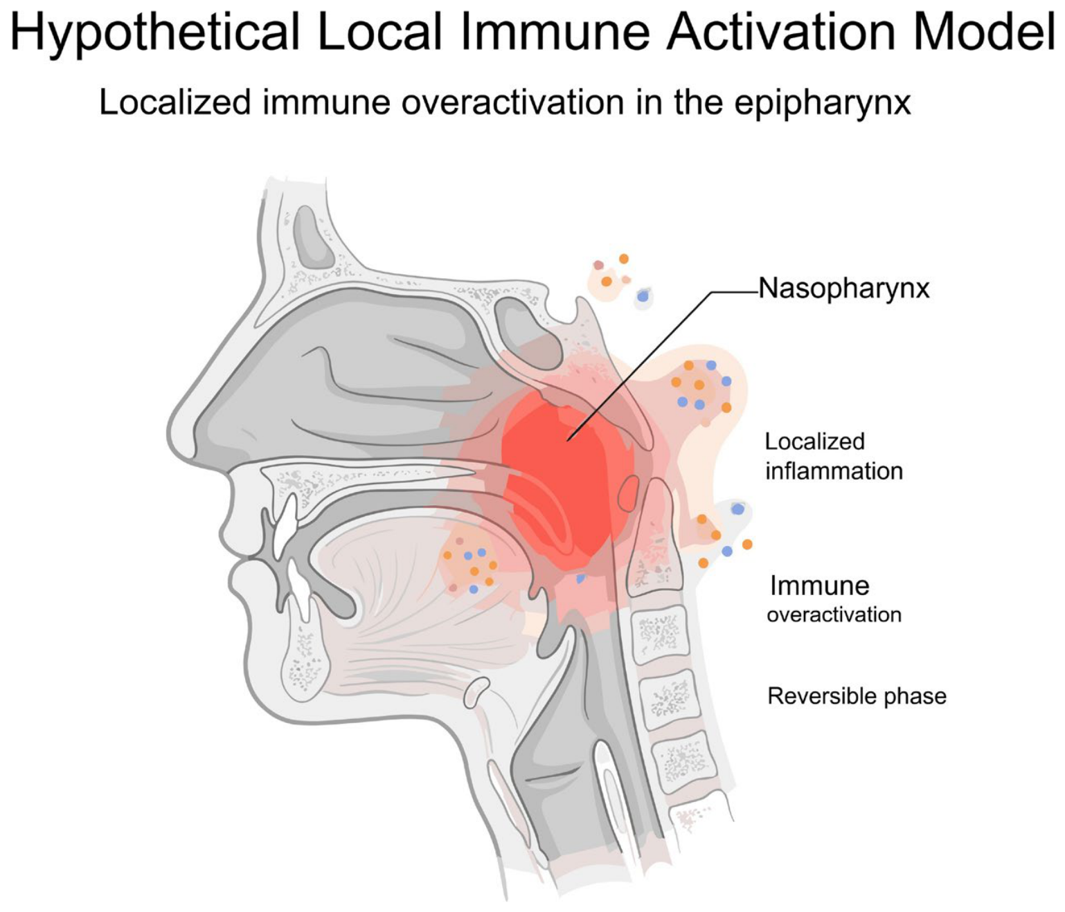 Immuno 06 00055 g005 Immuno 06 00055 g005
