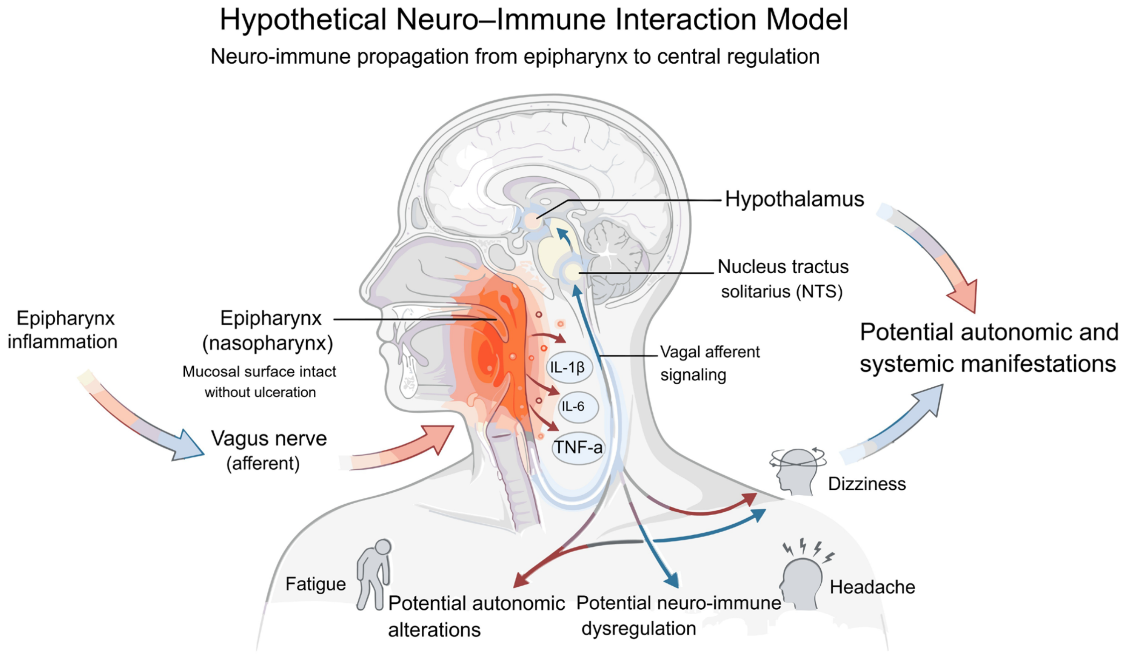 Immuno 06 00055 g006 Immuno 06 00055 g006