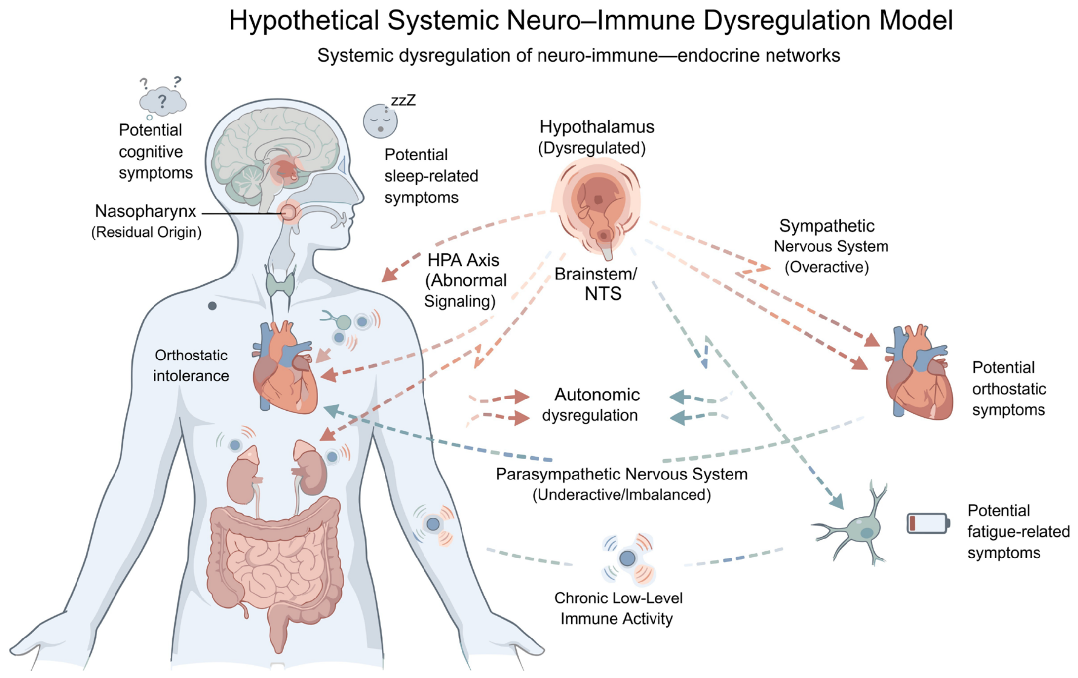 Immuno 06 00055 g007 Immuno 06 00055 g007